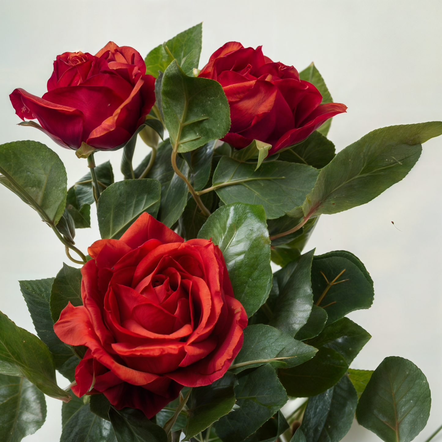 Künstlicher Rosenbaum 120 cm – Eleganter Blickfang mit roten Blüten