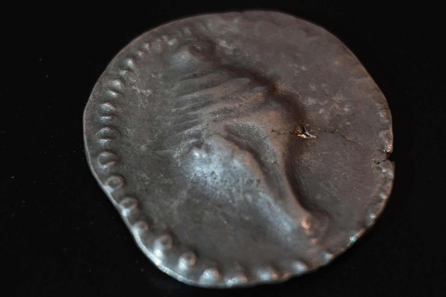 Rzadka starożytna jednostka AR - Królestwa Hamsavati (Mon) - IV wiek n.e. - Shell & Srivatsa z Ankusą