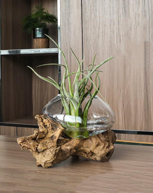 Vase Wurzelholz | Ästhetische Glas Blumenvase | Natürliche Deko | Wohnzimmer Dekoration | Unikat aus recyceltem Glas