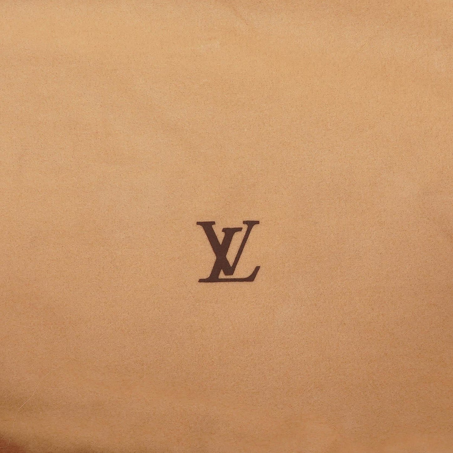 Louis Vuitton Schwarze Epi Leder Cannes Handtasche Sehr gut