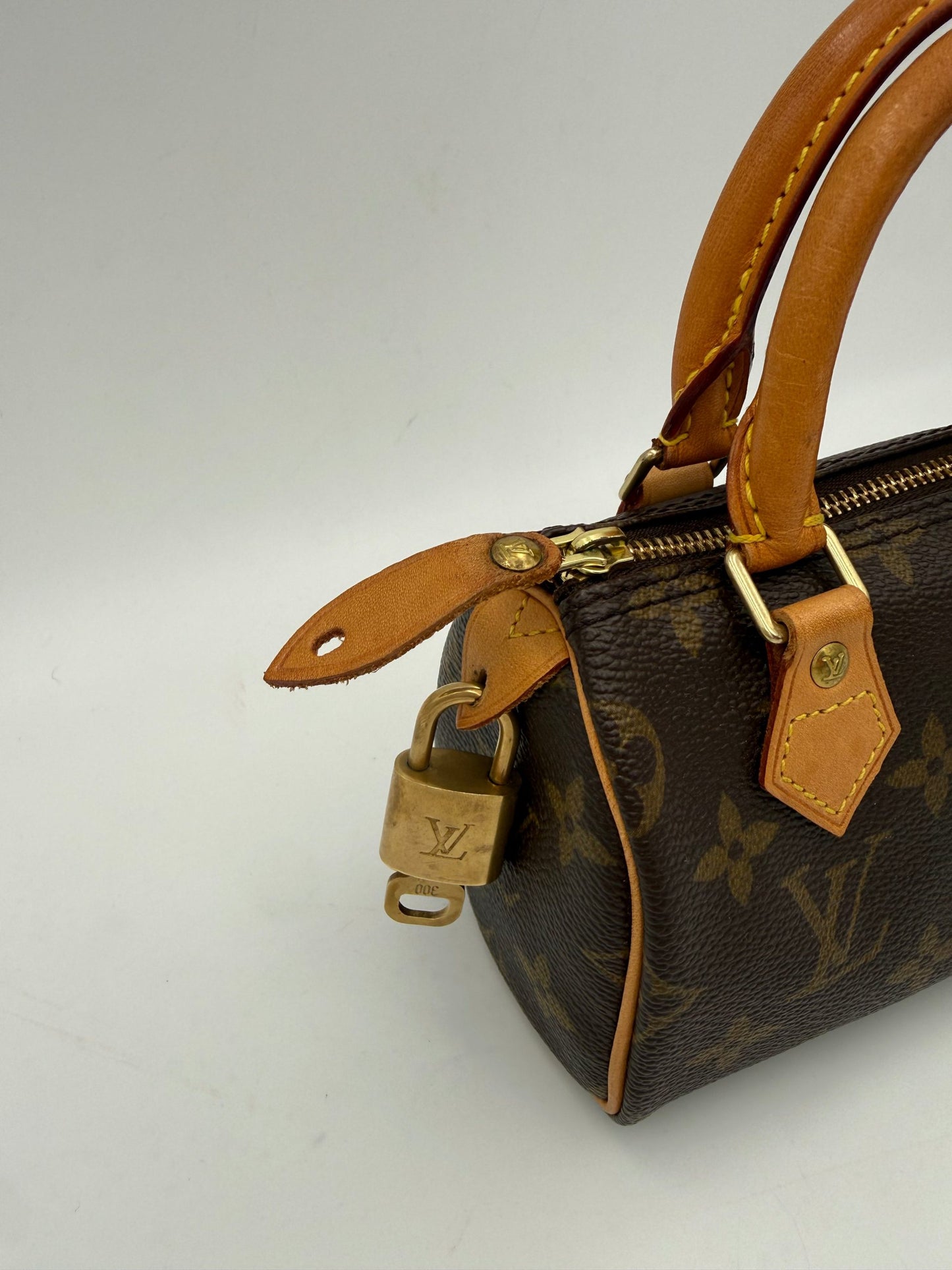 LOUIS VUITTON Nano Speedy Monogram Handtasche