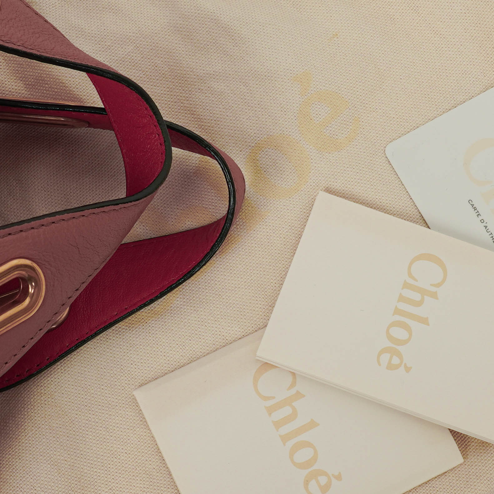 Chloe Paraty Tasche aus Kalbsleder