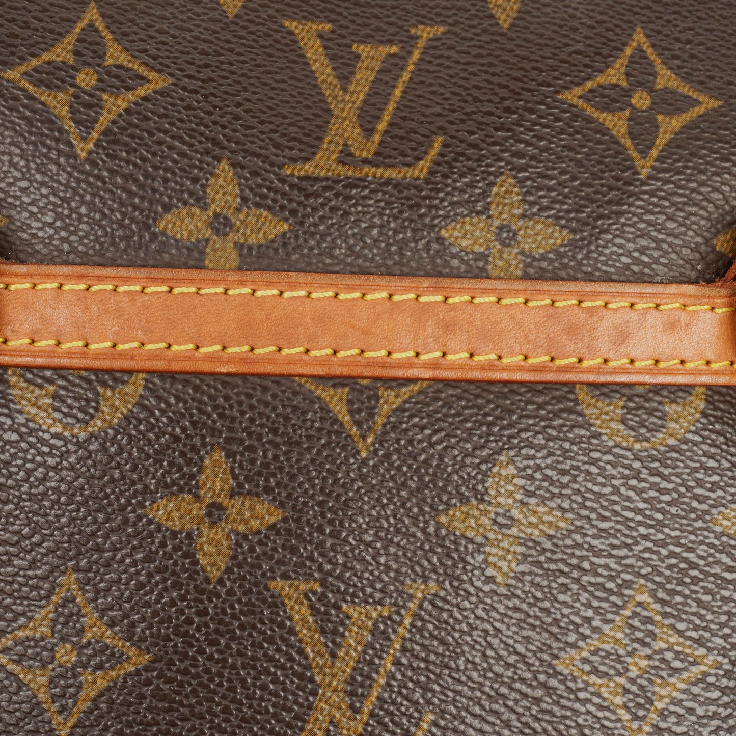 Louis Vuitton Coussin GM aus Monogram Canvas