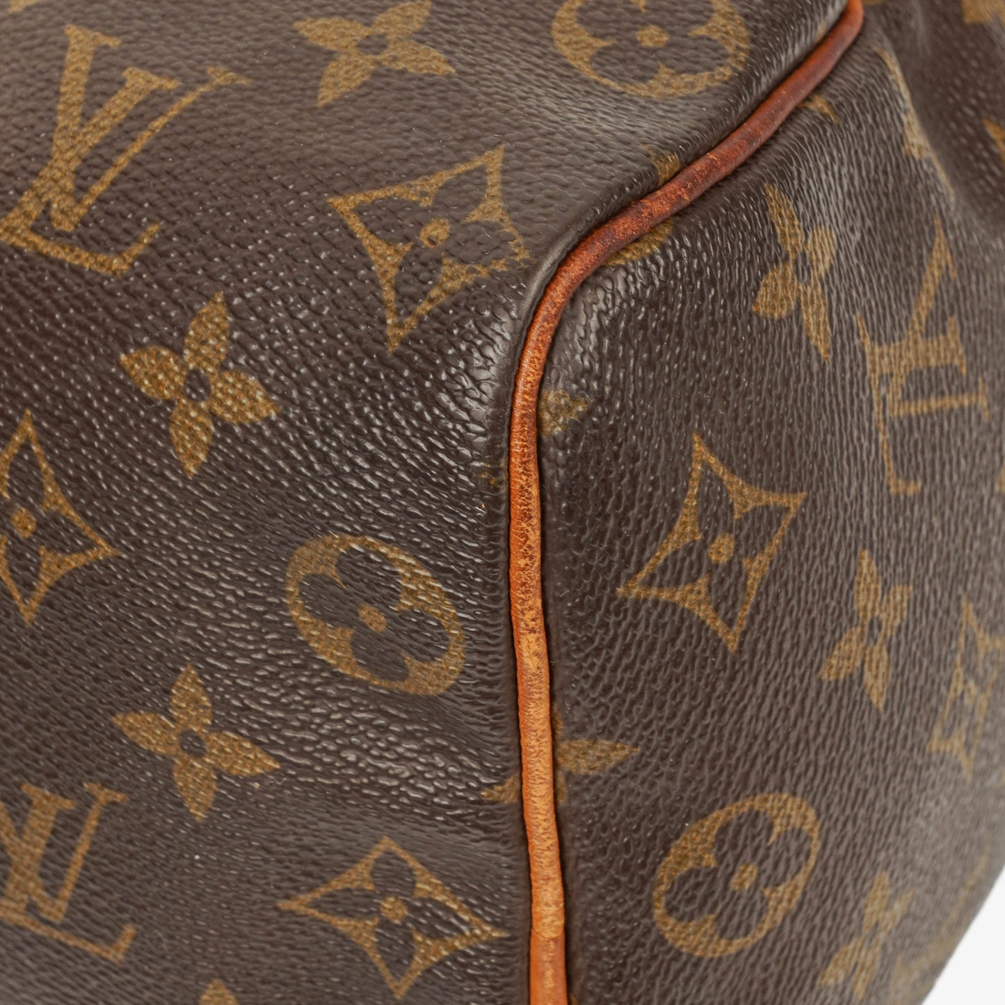 Louis Vuitton Speedy 25 Monogram Canvas Tasche
