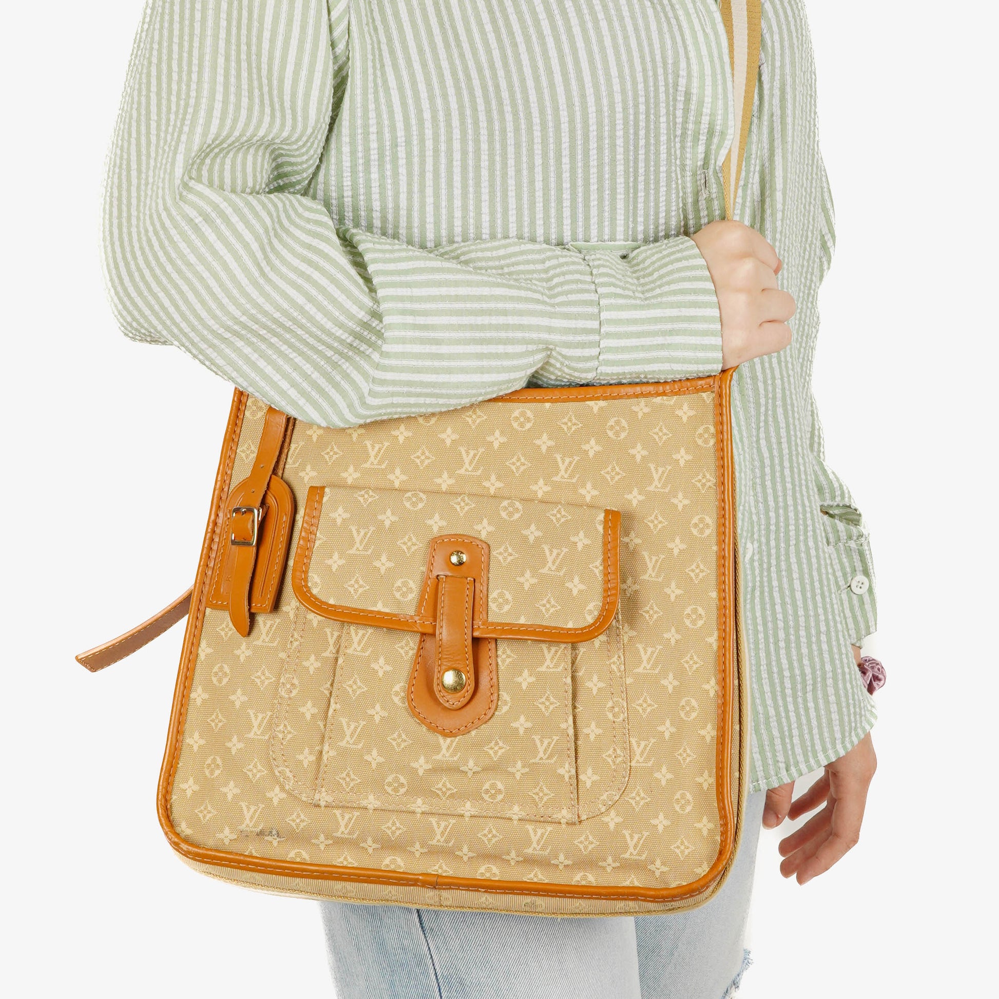 Louis Vuitton Besace Mary Kate Schultertasche aus Mini Monogram in Beige
