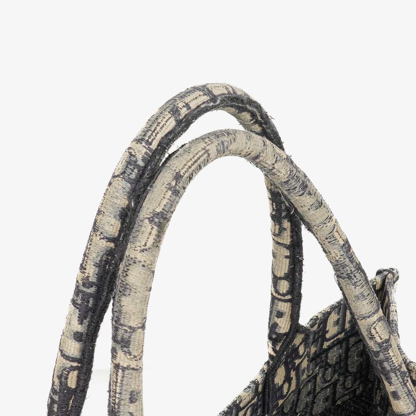Christian Dior Oblique Book Tote Bag
