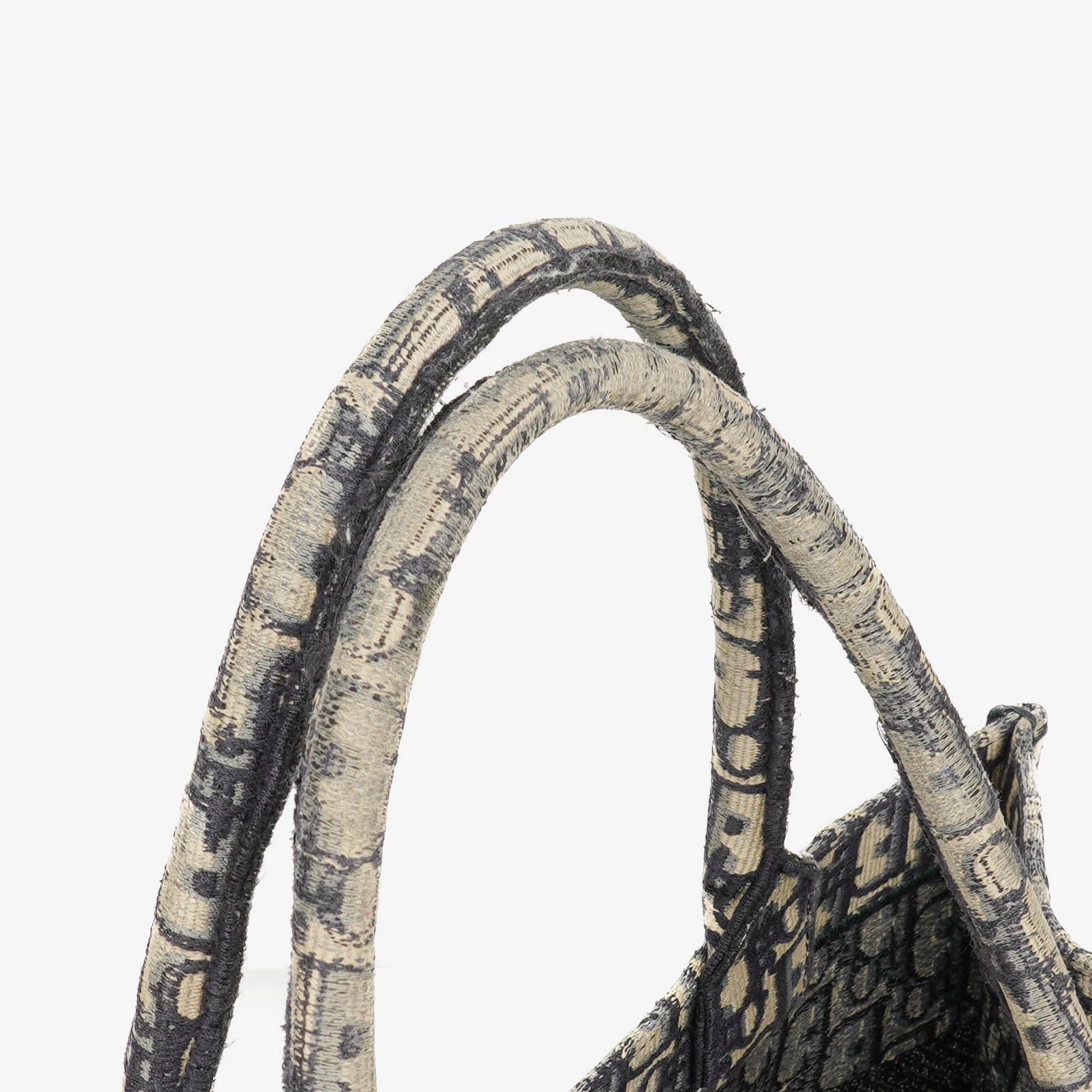 Christian Dior Oblique Book Tote Bag