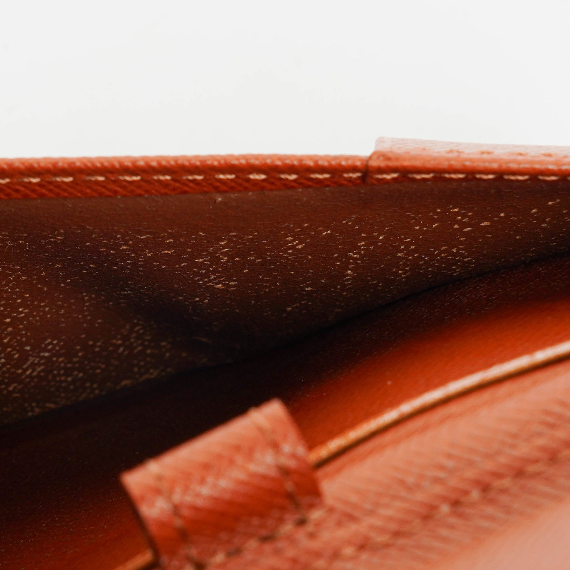 Louis Vuitton Geode Organizer Zippy Geldbörse aus Epi Leder