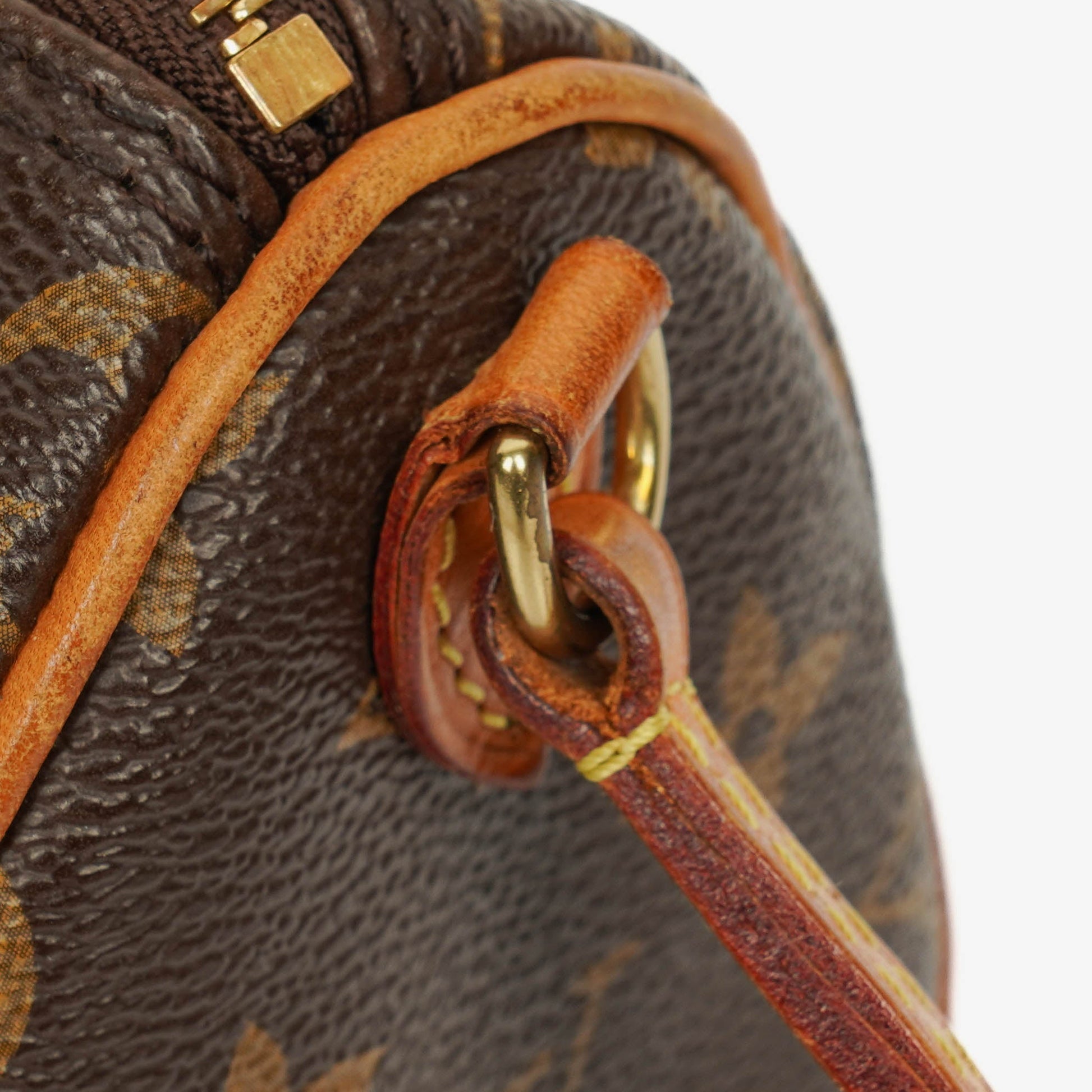 Louis Vuitton Nano Speedy Bandouliere Limited Edition World Tour Monogram Canvas Tasche