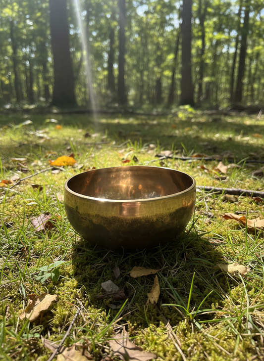 Edle Ishana Klangschalen aus Nepal (Bronze) • Schwarz-Gold • 10-49 cm