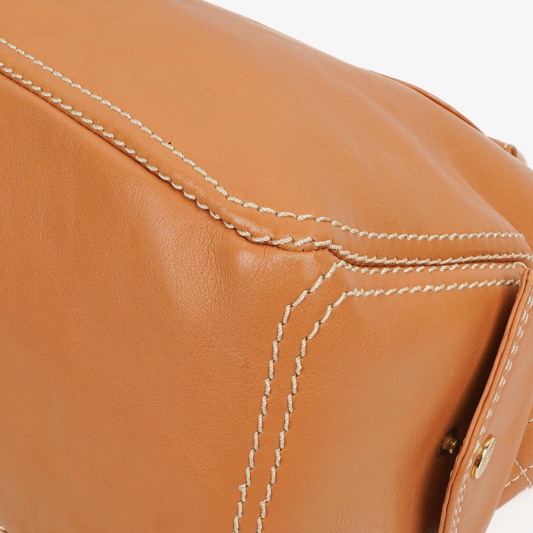Celine Boogie Tasche aus Leder