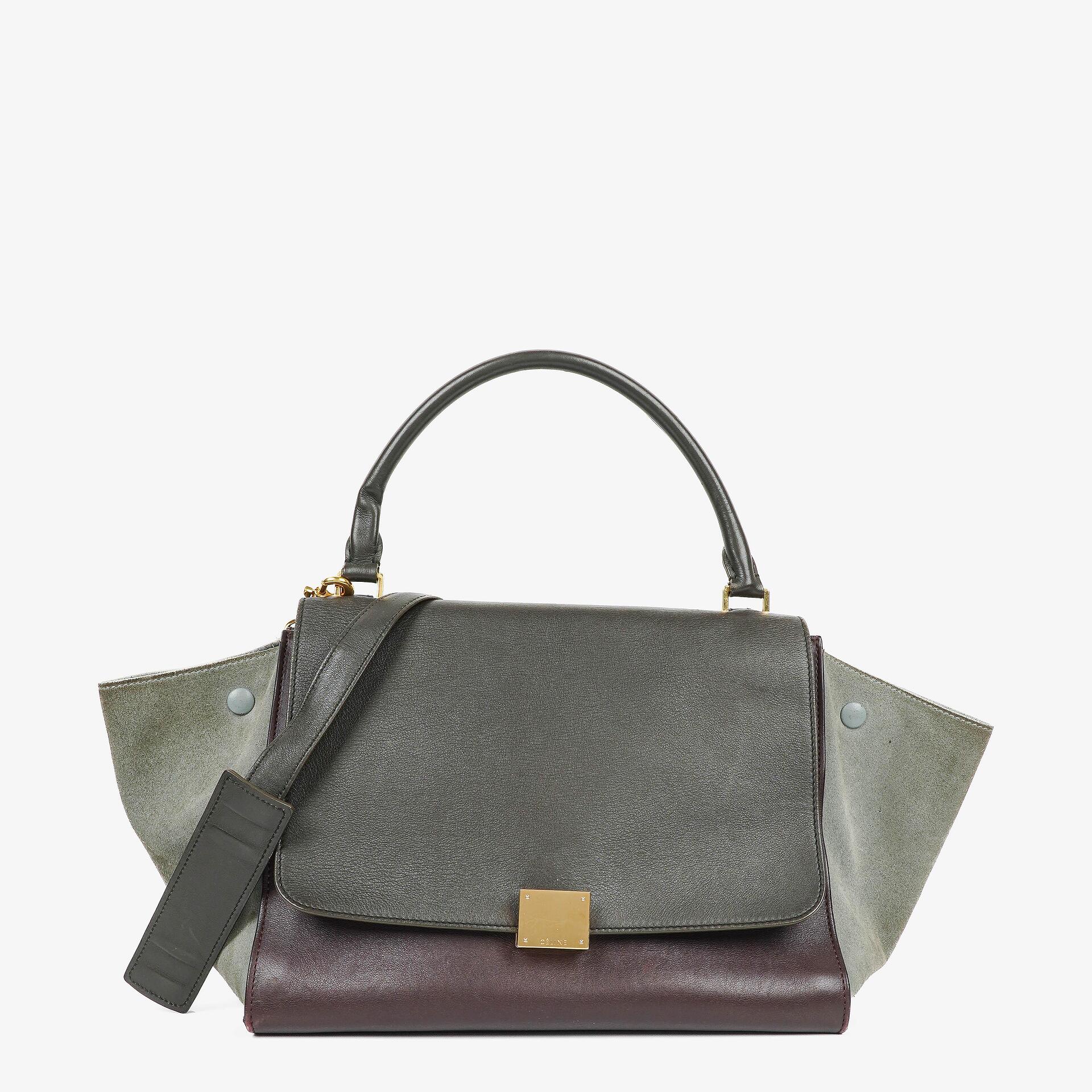 Celine Mittelgroße Trapez Souris Getrommeltes Mehrfarbiges Leder/Wildleder Tasche