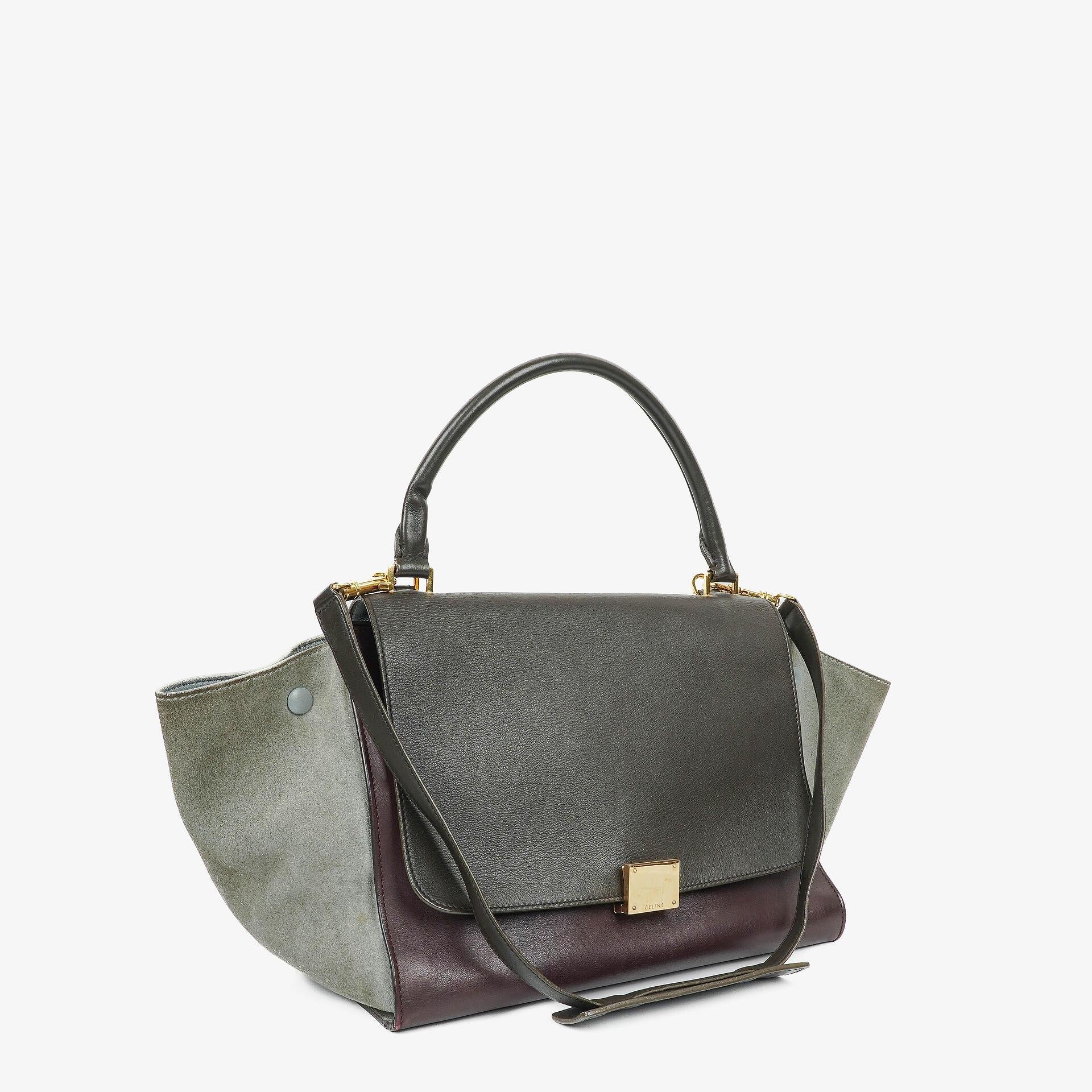Celine Mittelgroße Trapez Souris Getrommeltes Mehrfarbiges Leder/Wildleder Tasche