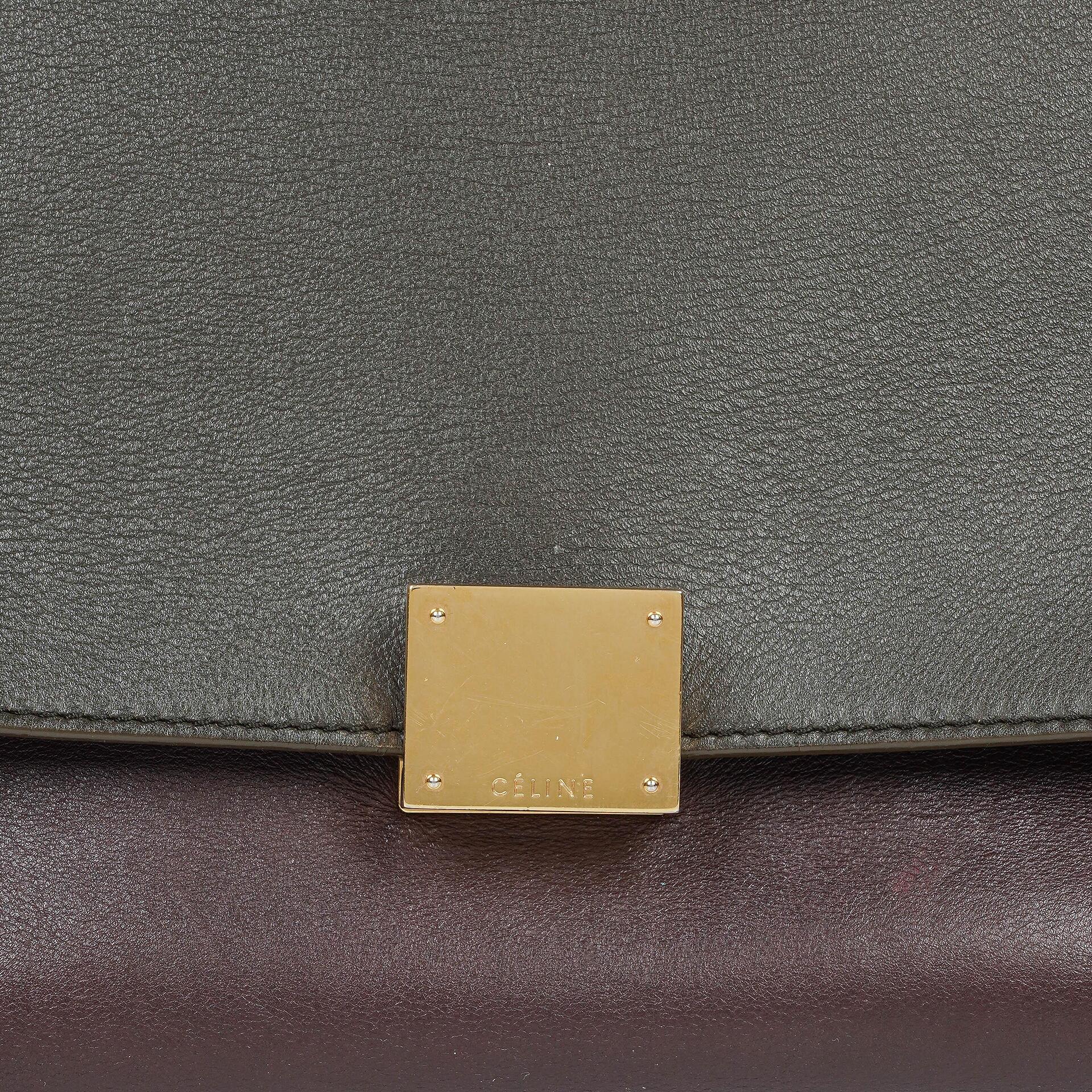 Celine Mittelgroße Trapez Souris Getrommeltes Mehrfarbiges Leder/Wildleder Tasche