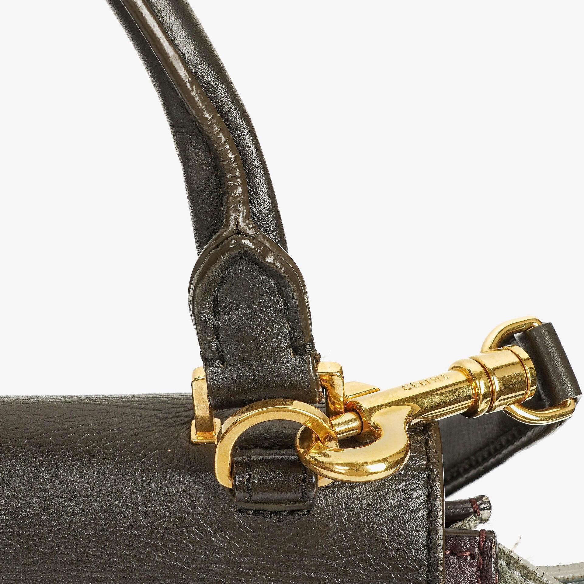 Celine Mittelgroße Trapez Souris Getrommeltes Mehrfarbiges Leder/Wildleder Tasche