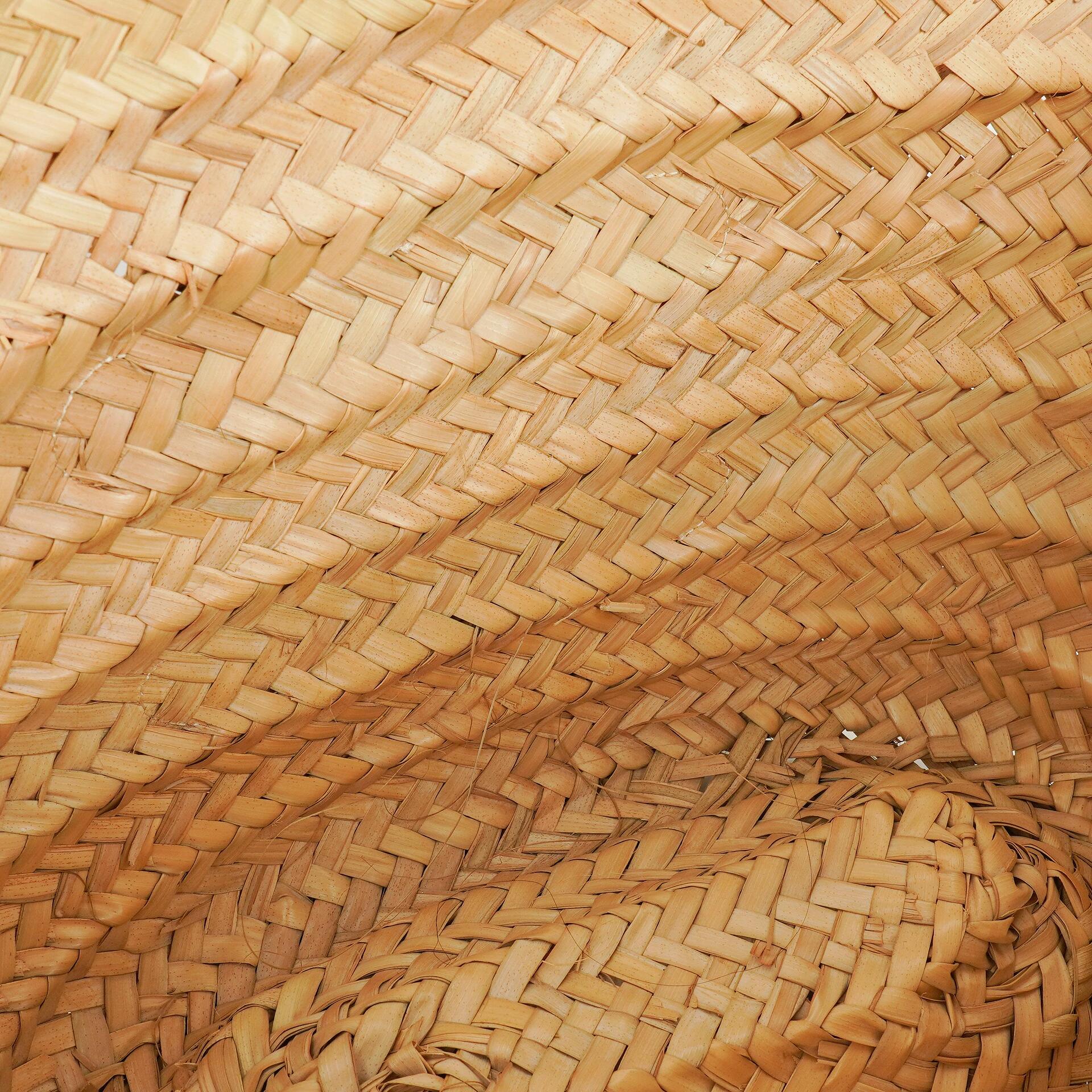 Celine Classic Triomphe Panier aus Palm Leaves Kalbsleder