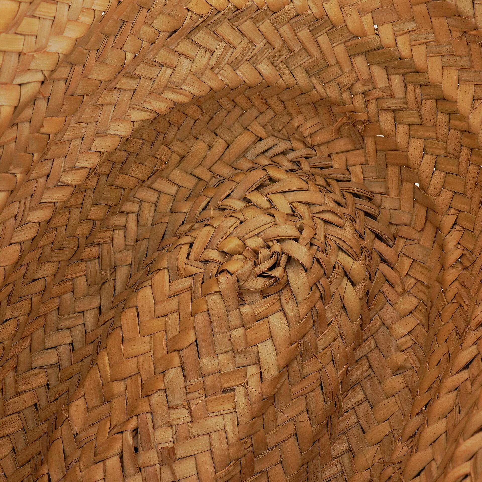 Celine Classic Triomphe Panier aus Palm Leaves Kalbsleder