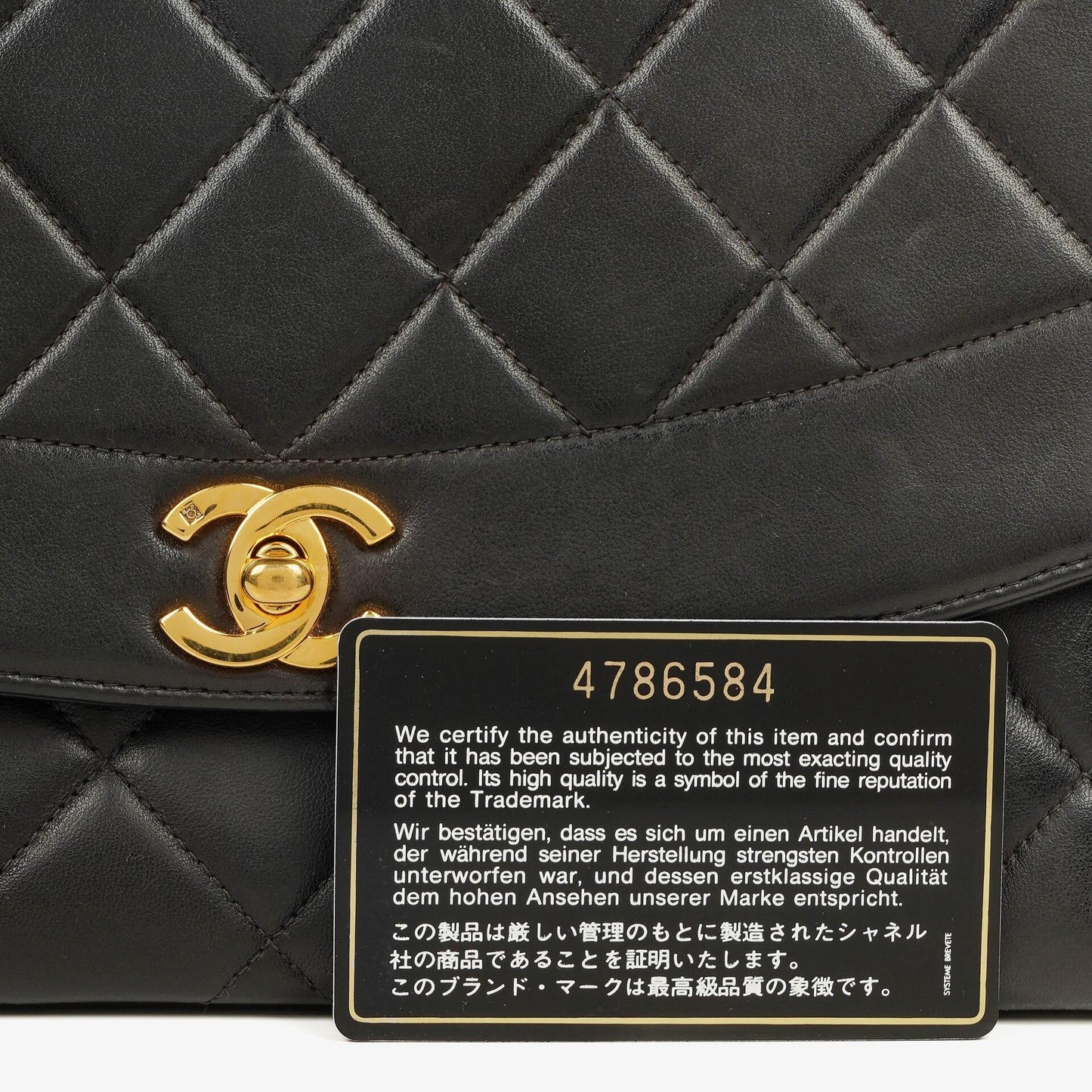 Chanel Vintage Große Diana Klappentasche in Schwarz mit 24K vergoldeter Hardware