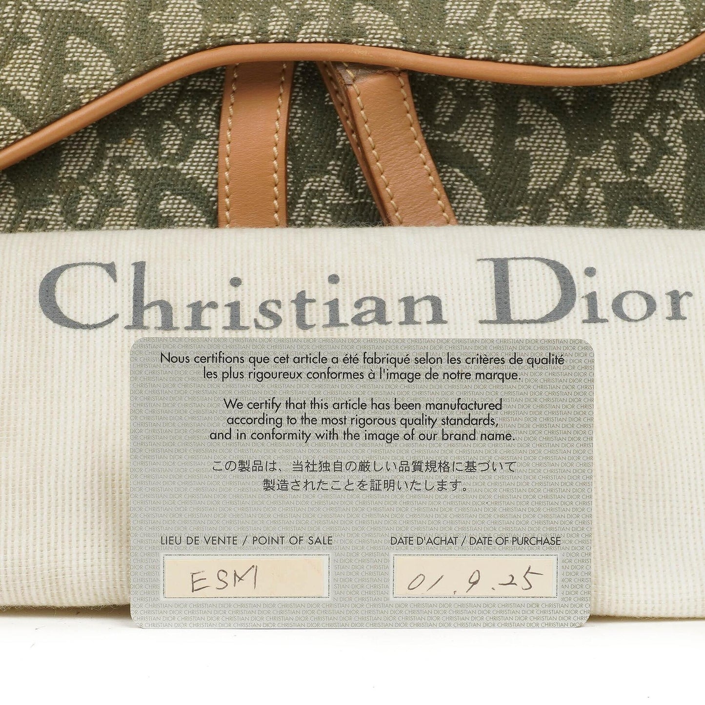 Christian Dior Double Saddle Tasche aus grünem Monogram Jacquard