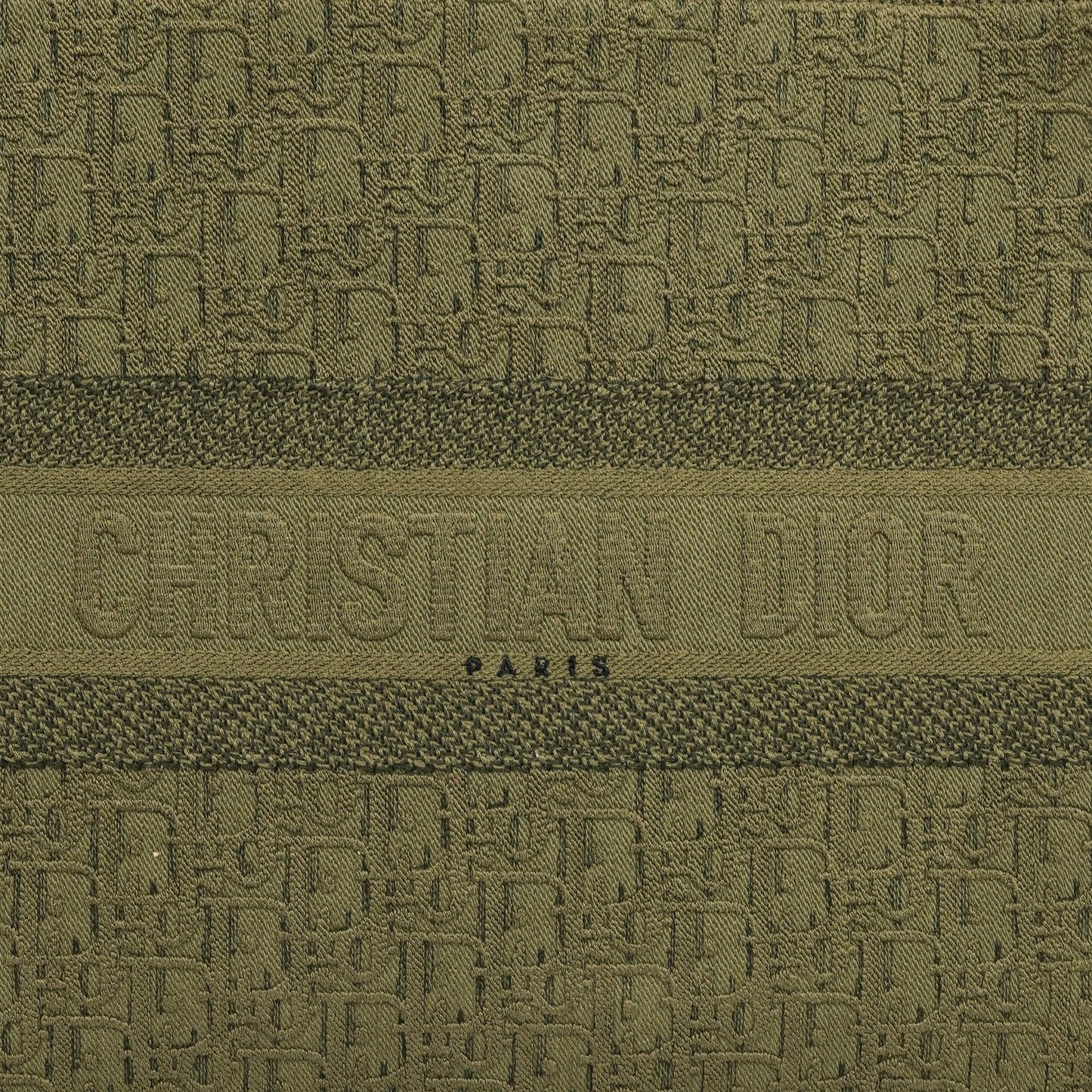 Christian Dior Book Tote aus grünem Oblique Denim