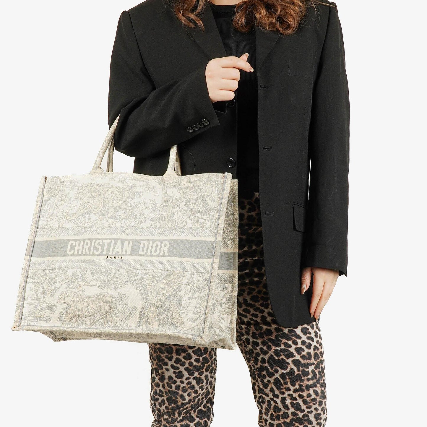 Christian Dior Toile de Jouy Buch-Tasche