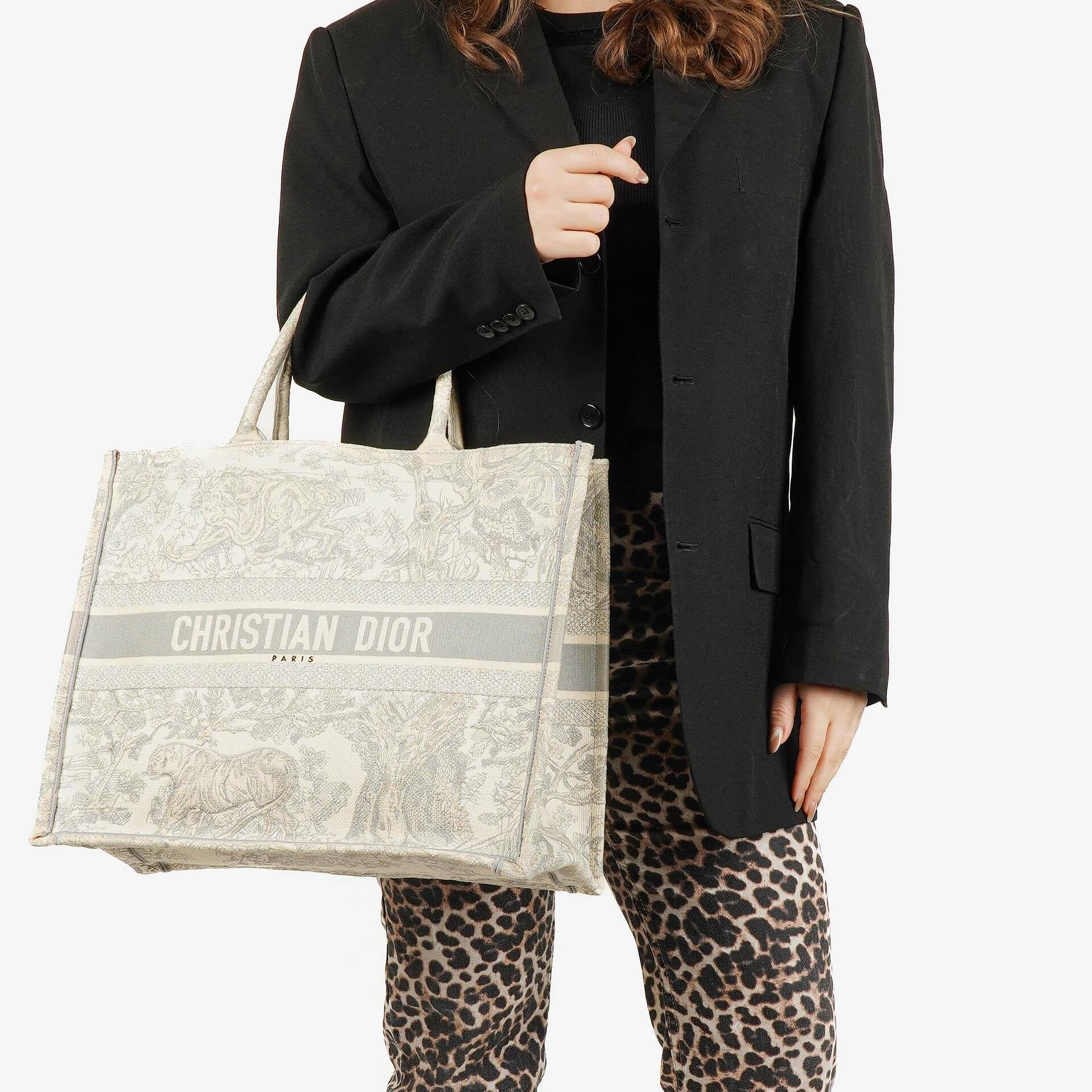 Christian Dior Toile de Jouy Buch-Tasche