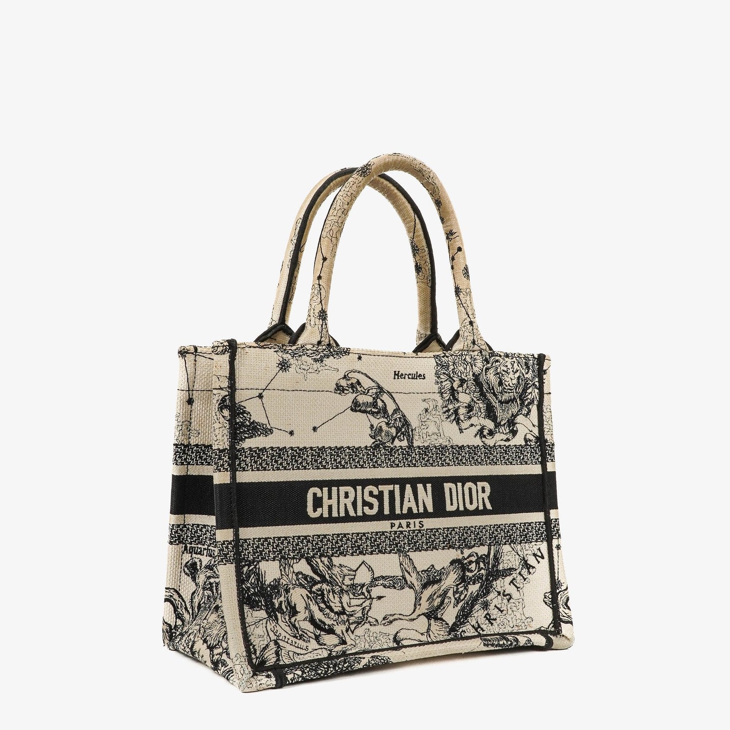 Christian Dior Book Tote Zodiac aus Toile de Jouy