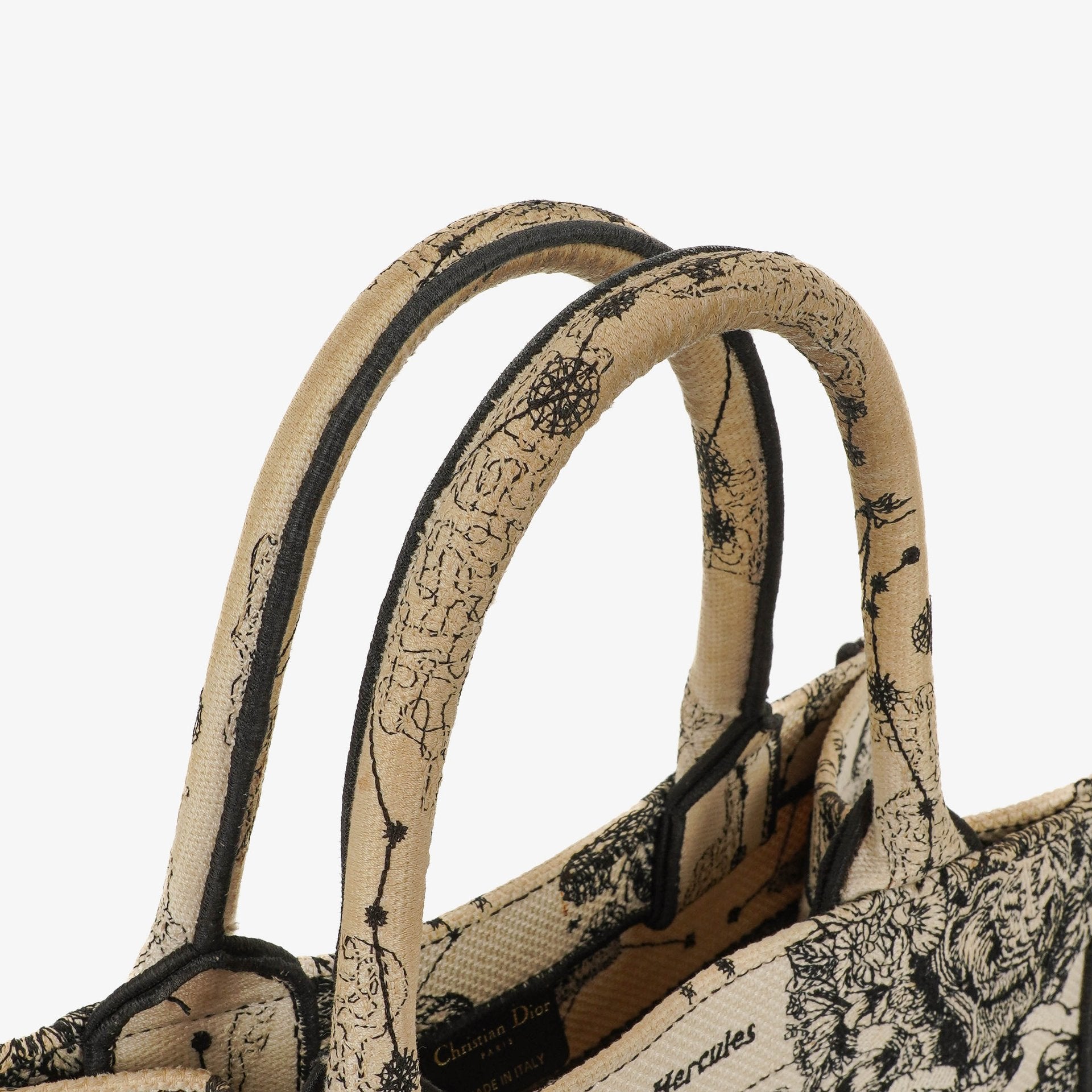 Christian Dior Book Tote Zodiac aus Toile de Jouy
