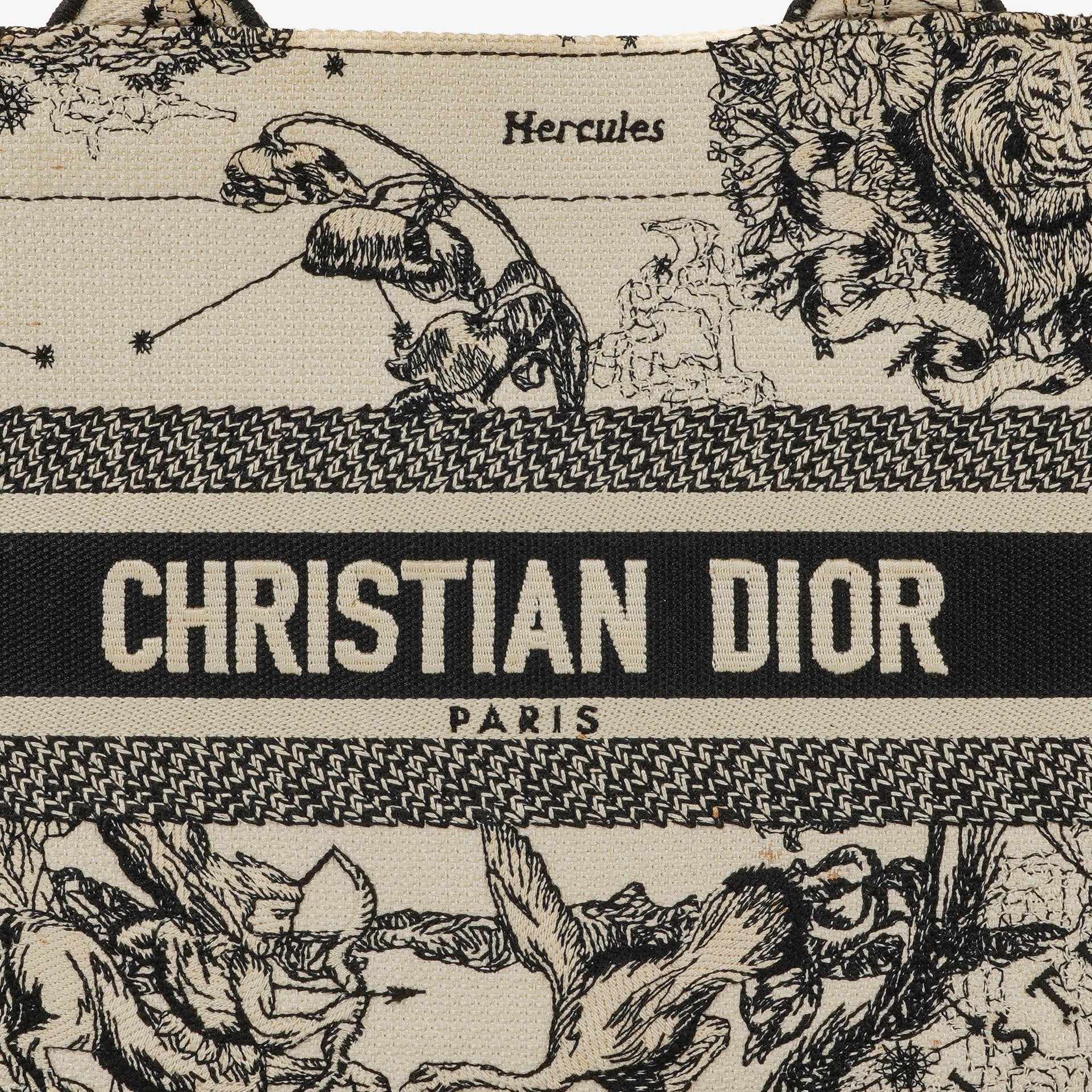Christian Dior Book Tote Zodiac aus Toile de Jouy