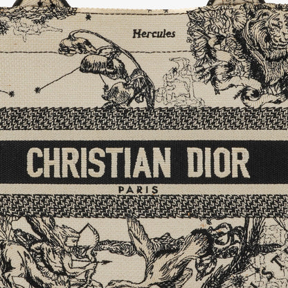 Christian Dior Book Tote Zodiac aus Toile de Jouy