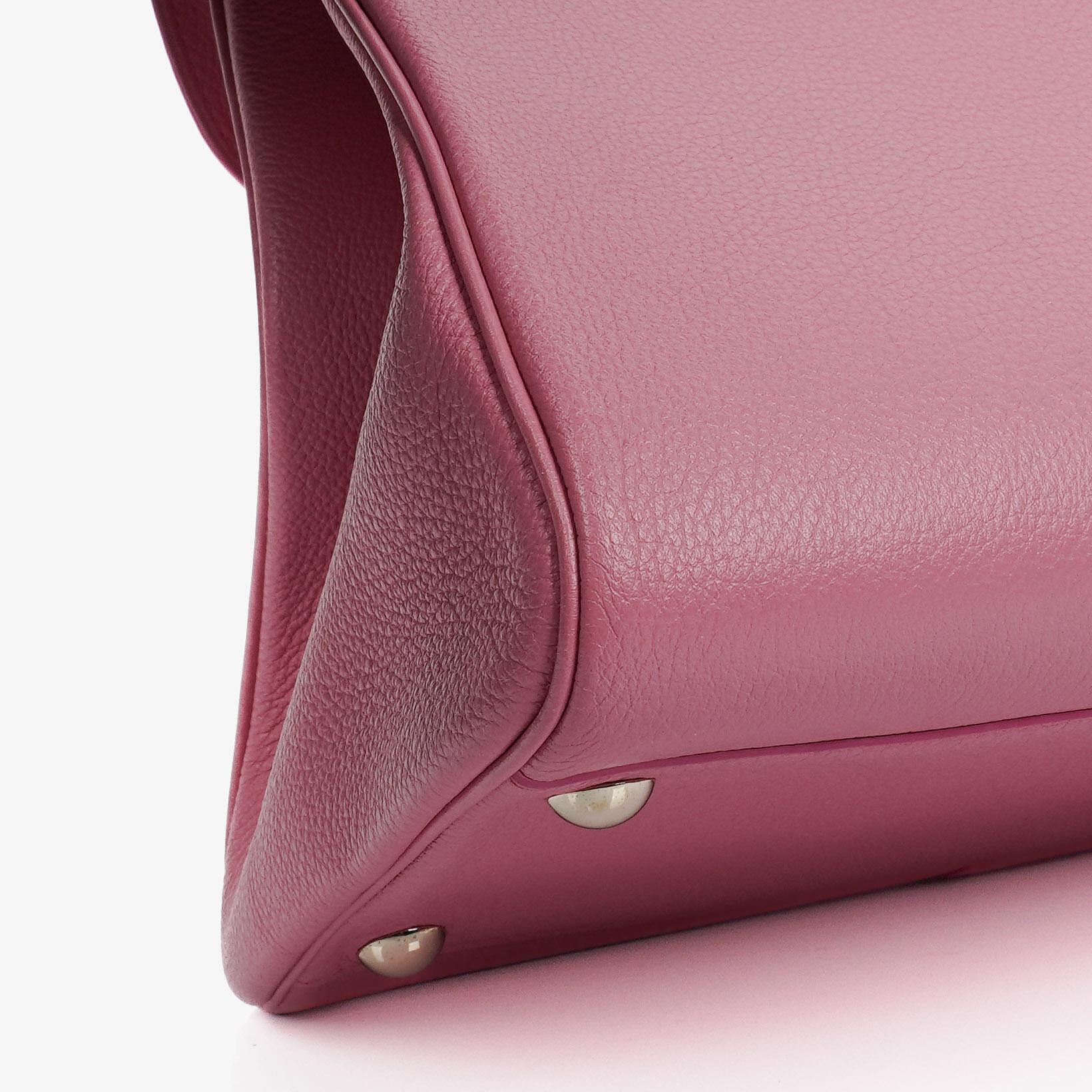 Delvaux Brillant MM Sellier Handtasche in Flamingo