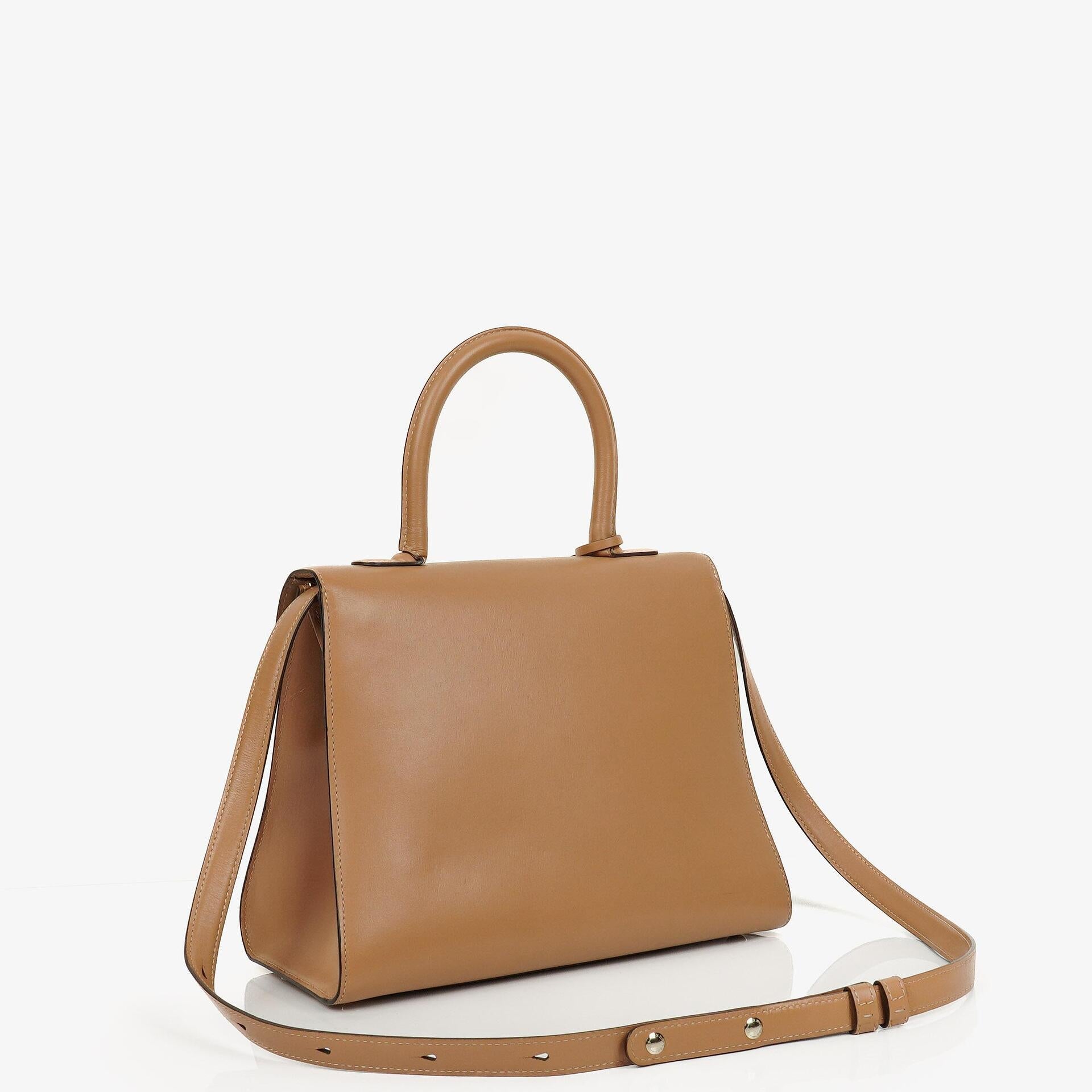 Delvaux Brillant MM Handtasche aus Vison Box-Kalbsleder