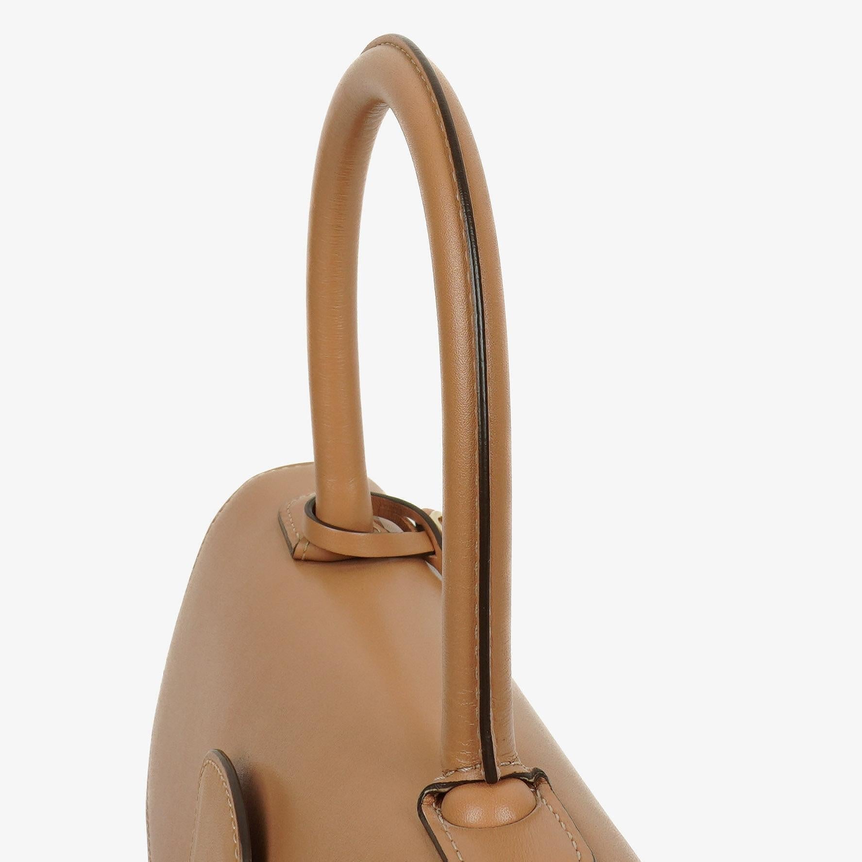 Delvaux Brillant MM Handtasche aus Vison Box-Kalbsleder