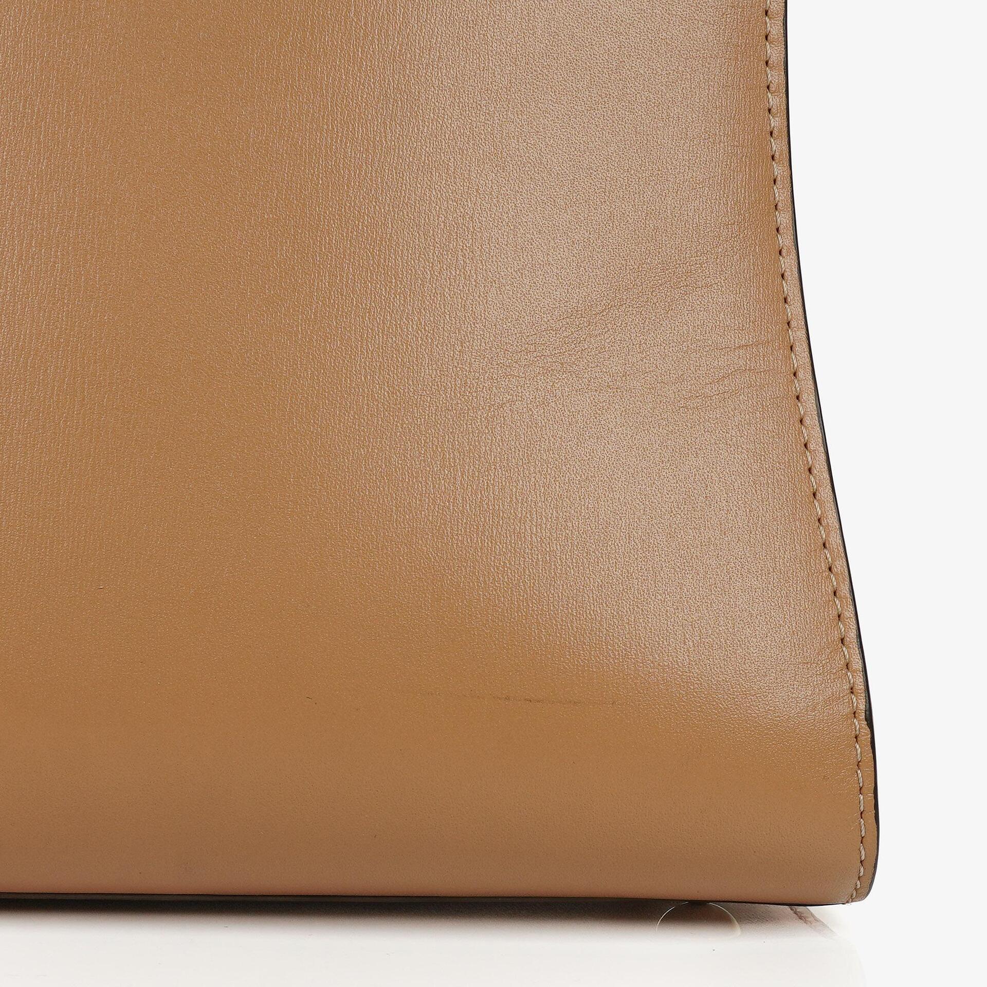 Delvaux Brillant MM Handtasche aus Vison Box-Kalbsleder