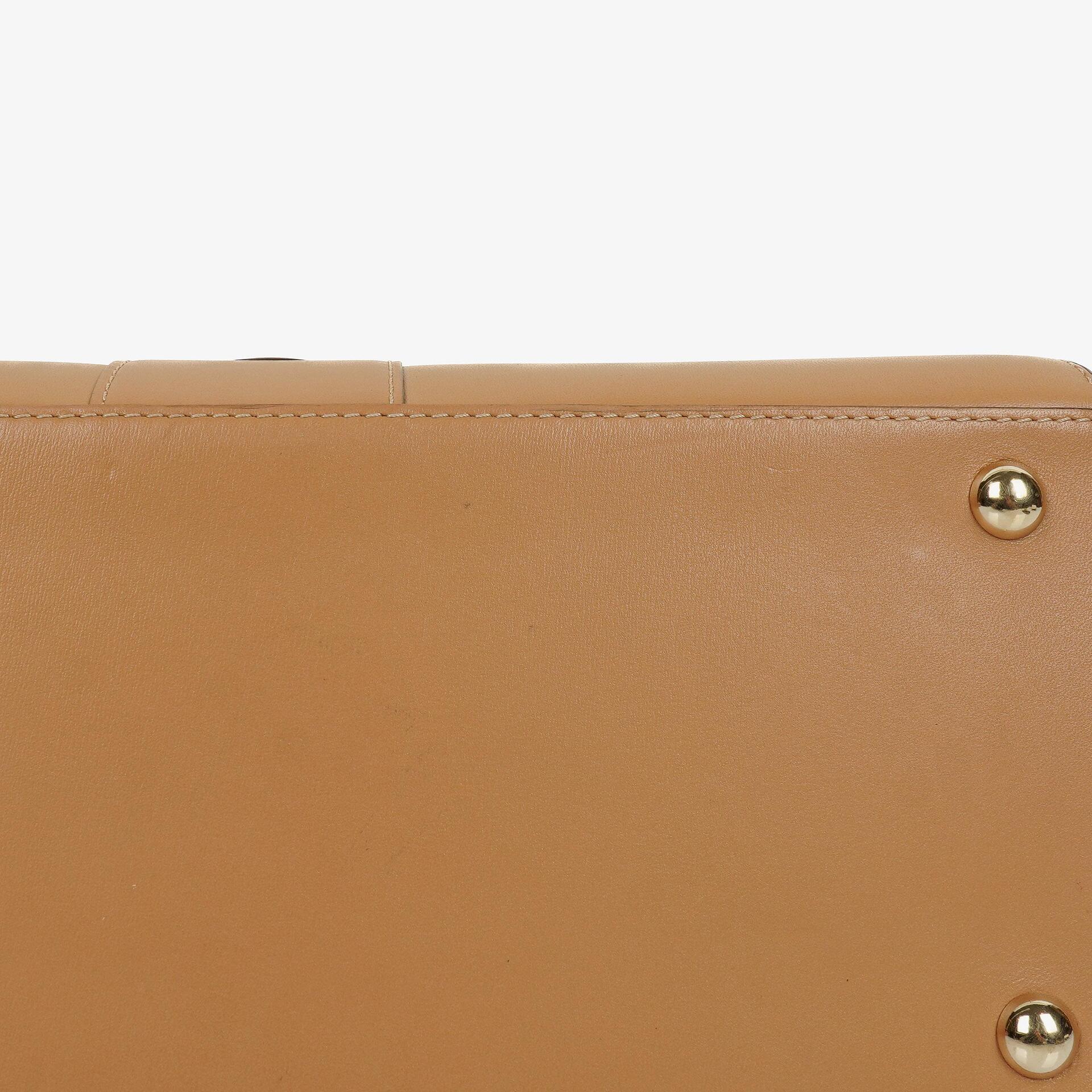 Delvaux Brillant MM Handtasche aus Vison Box-Kalbsleder