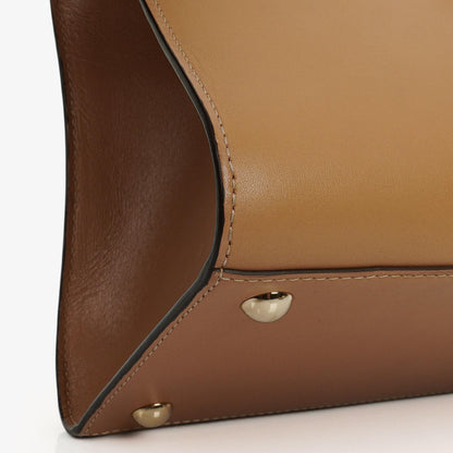 Delvaux Brillant MM Handtasche aus Vison Box-Kalbsleder