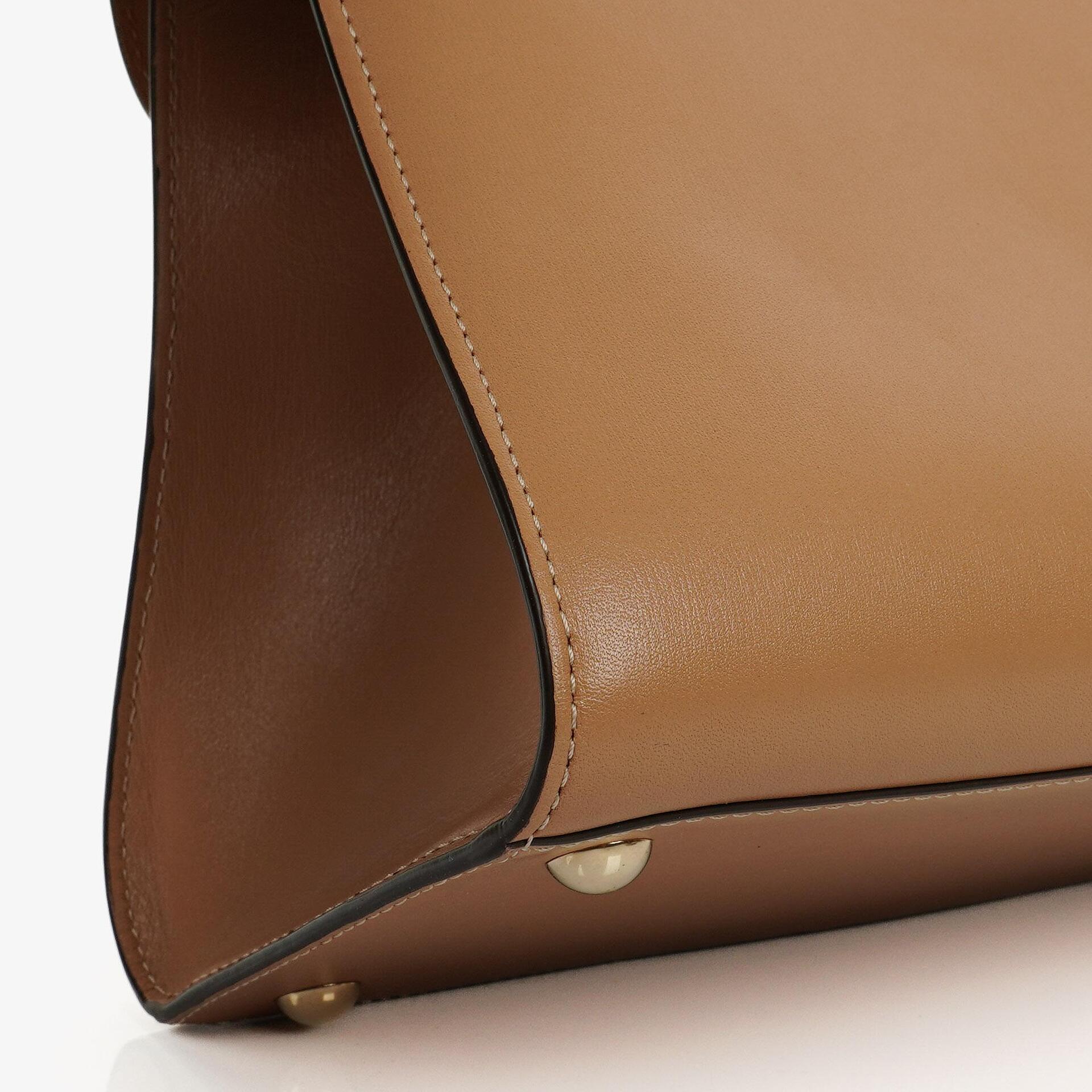 Delvaux Brillant MM Handtasche aus Vison Box-Kalbsleder