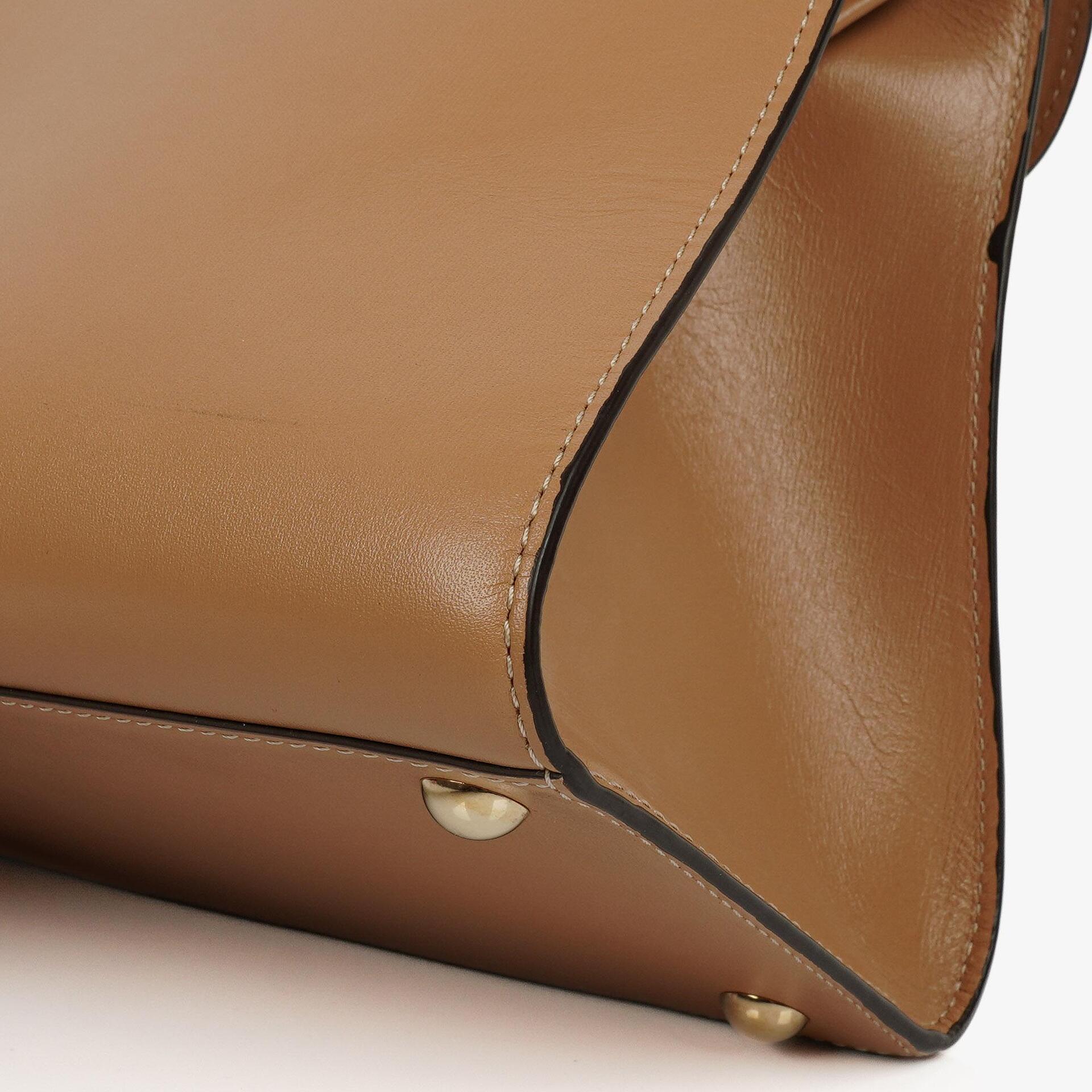 Delvaux Brillant MM Handtasche aus Vison Box-Kalbsleder