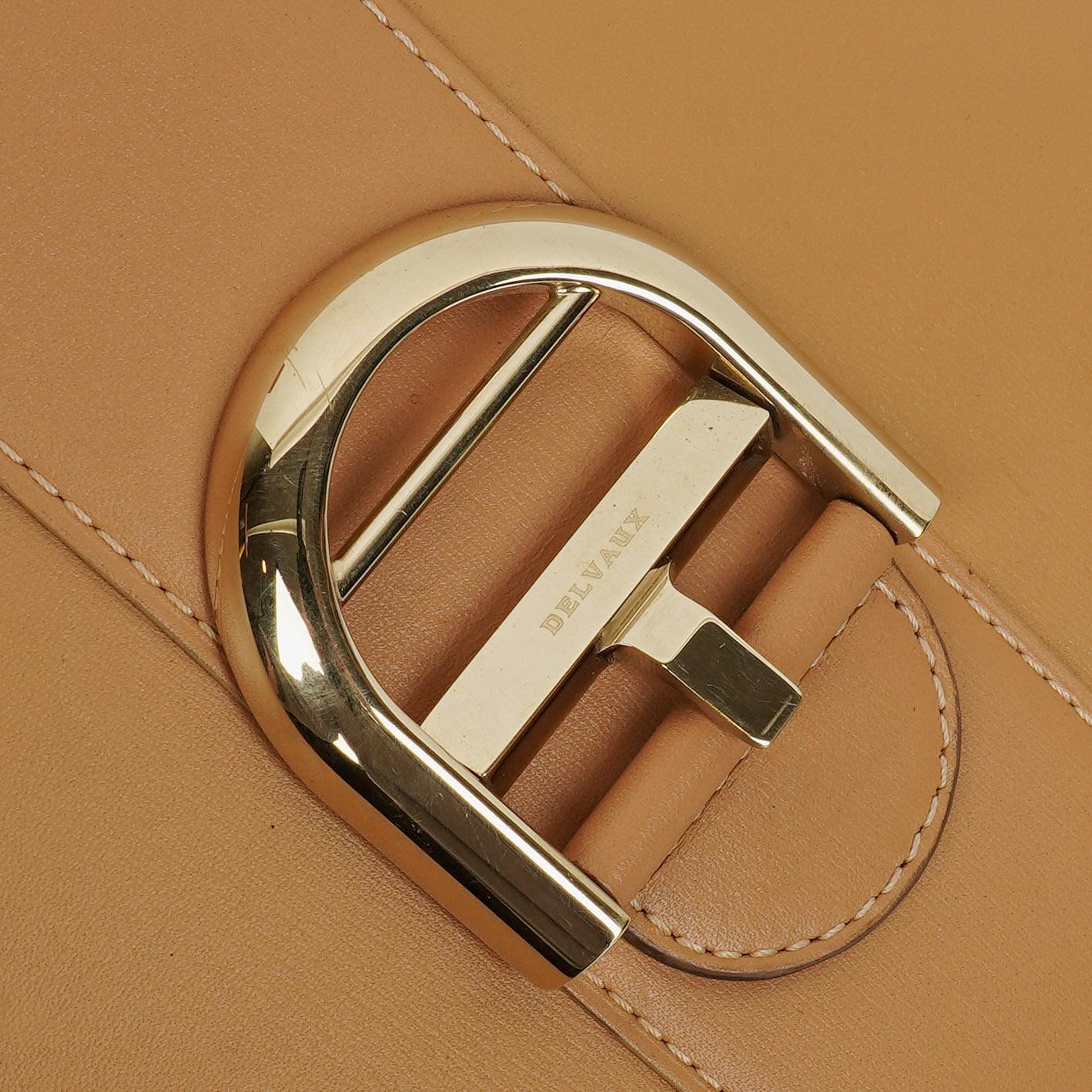 Delvaux Brillant MM Handtasche aus Vison Box-Kalbsleder