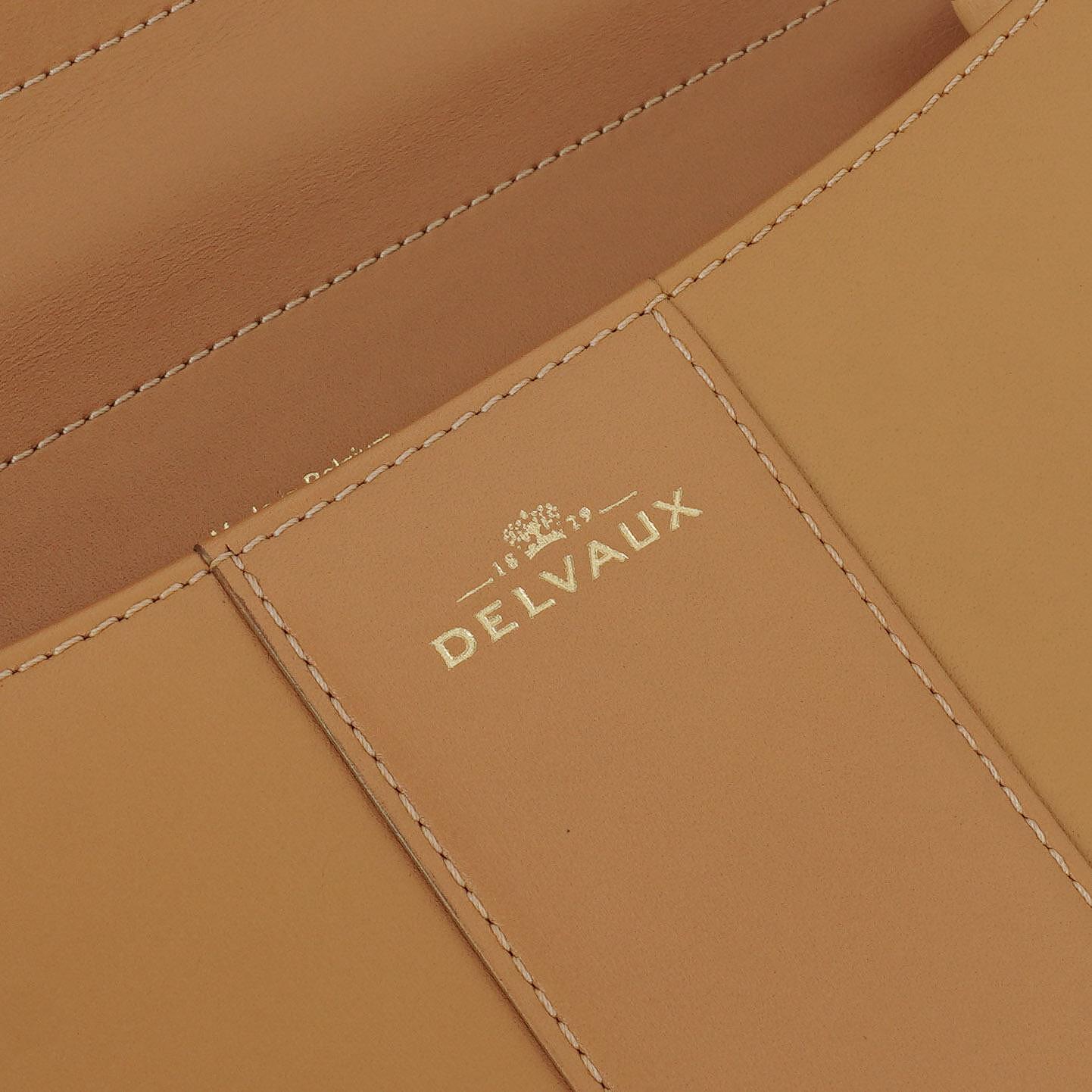 Delvaux Brillant MM Handtasche aus Vison Box-Kalbsleder