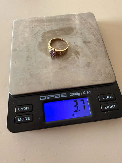 Edler Ring aus 585 Gelbgold mit zwei Amethysten – Größe 58