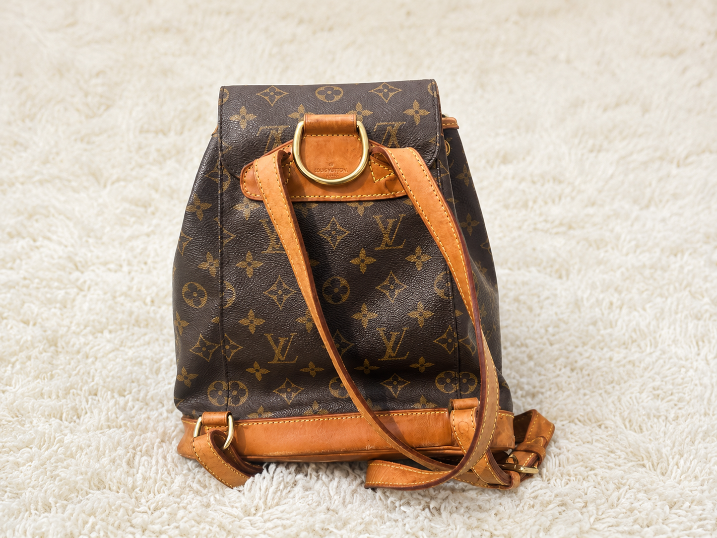 Louis Vuitton Montsouris PM Rucksack