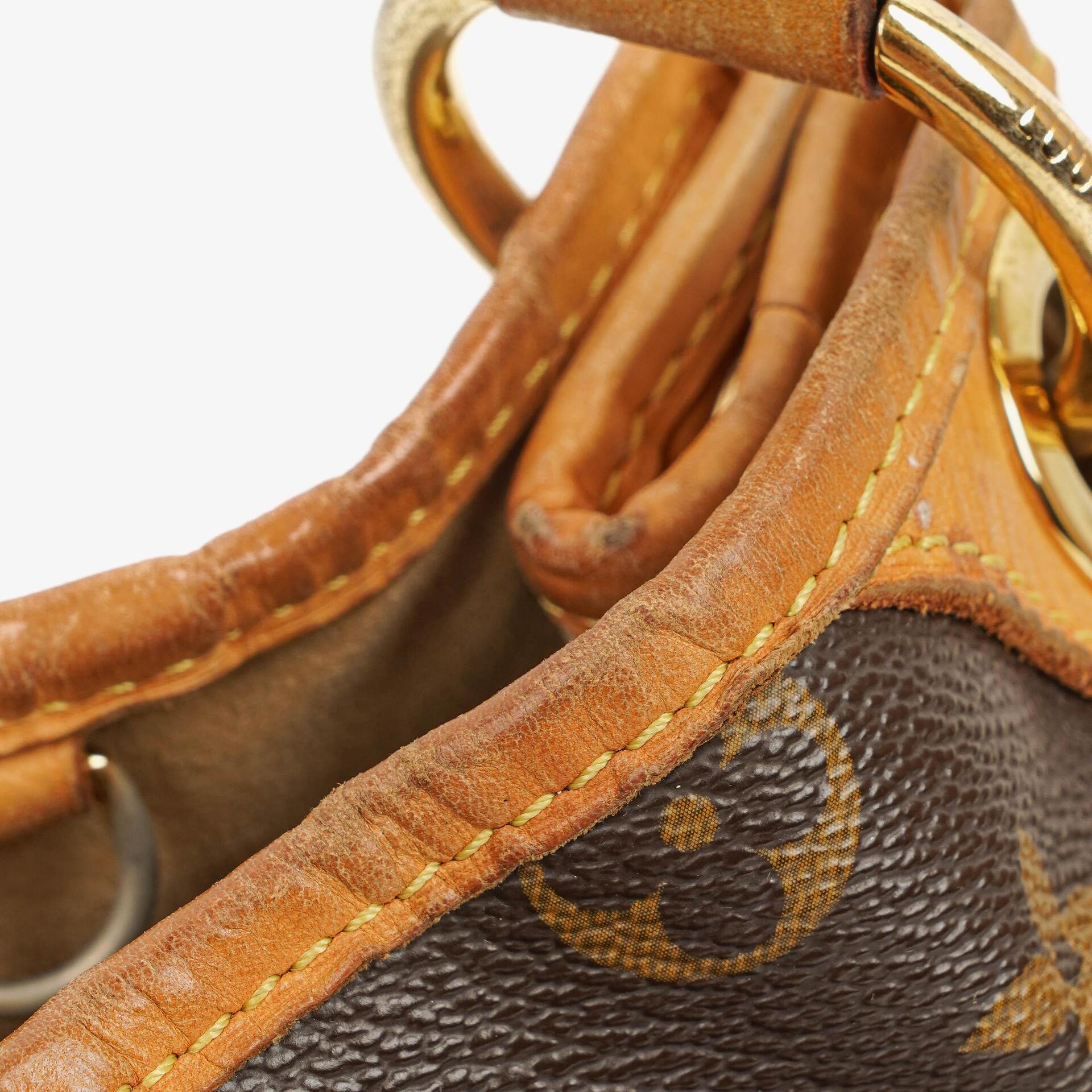 Louis Vuitton Galliera PM Schultertasche aus Monogram Canvas