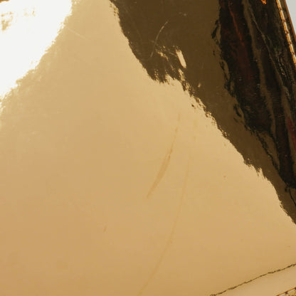 Louis Vuitton Limited Edition Miroir Pochette Tasche in Gold