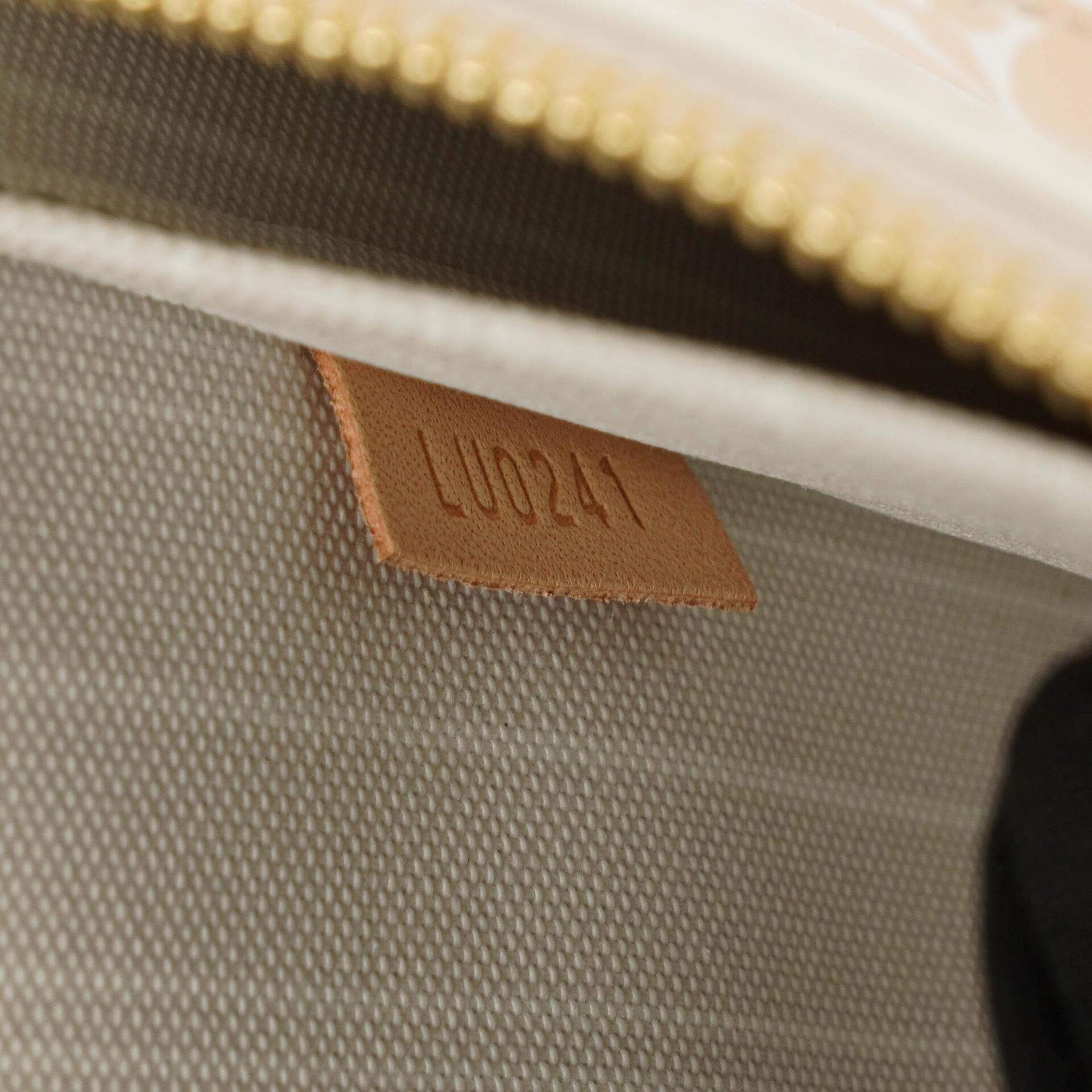 Louis Vuitton Neverfull MM Pochette Monogram By The Pool Brume