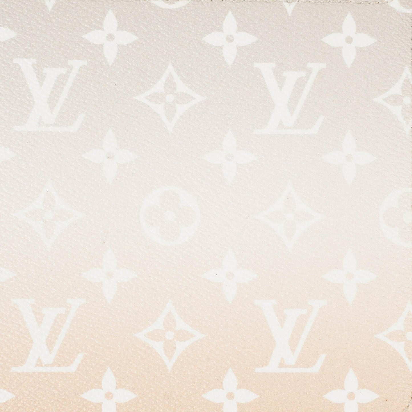Louis Vuitton Neverfull MM Pochette Monogram By The Pool Brume
