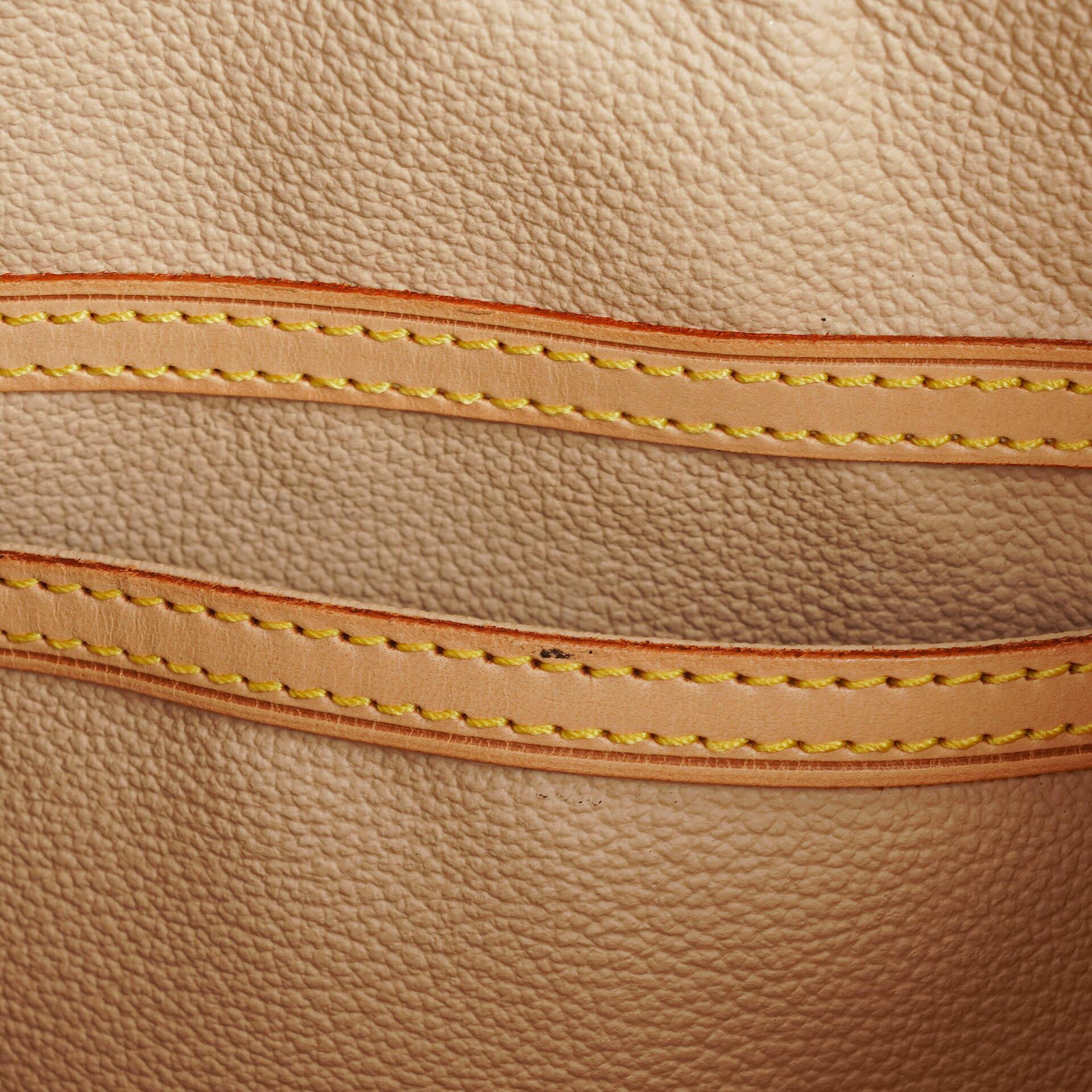 Louis Vuitton Petit Bucket Bag aus Monogram Canvas
