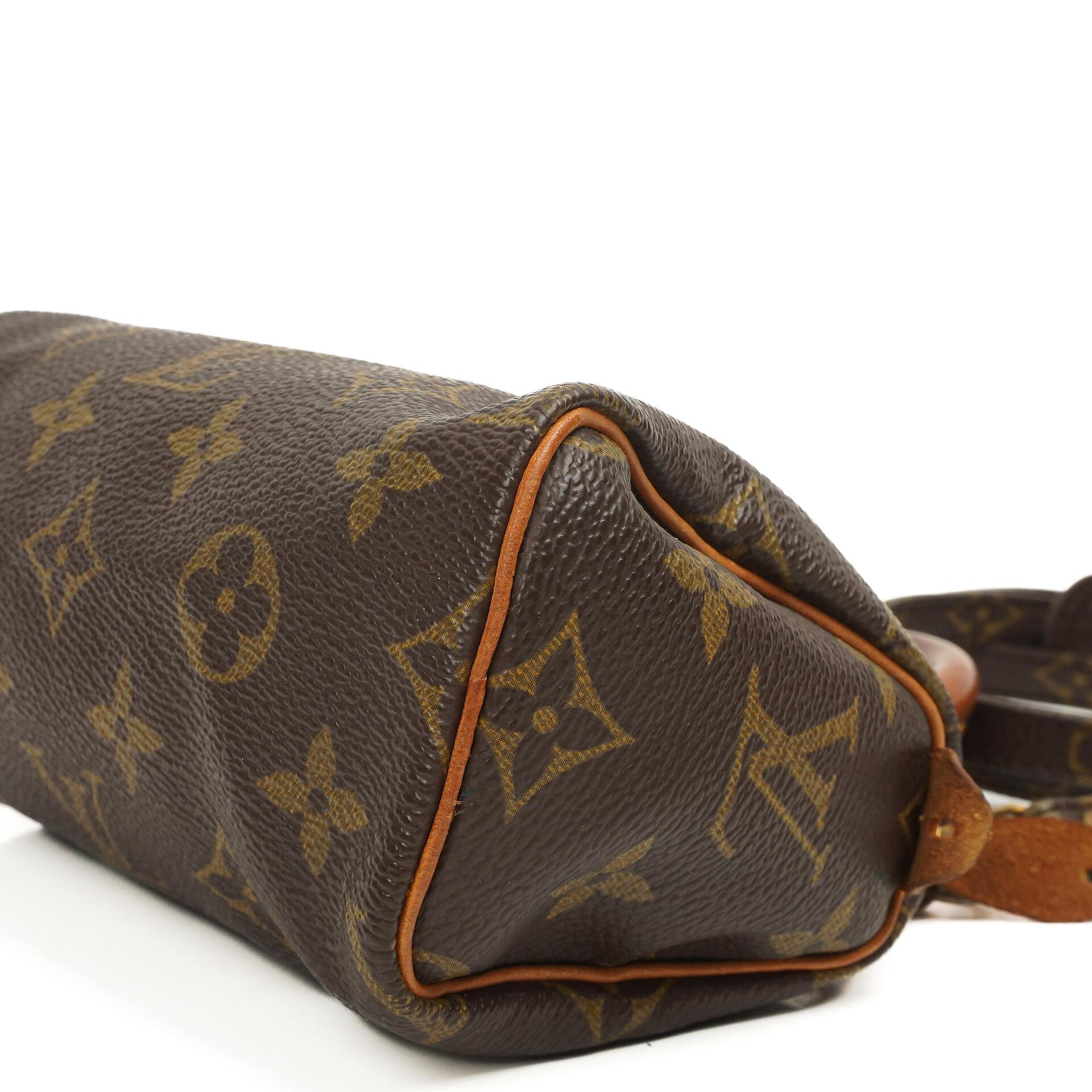 Louis Vuitton Nano Speedy Monogram Canvas Mini Tasche