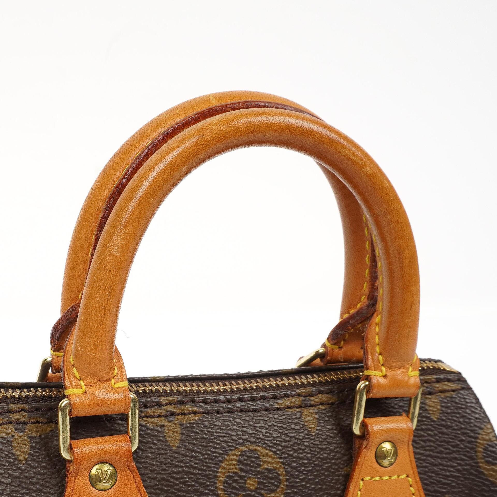 Louis Vuitton Nano Speedy Monogram Canvas Mini Handtasche