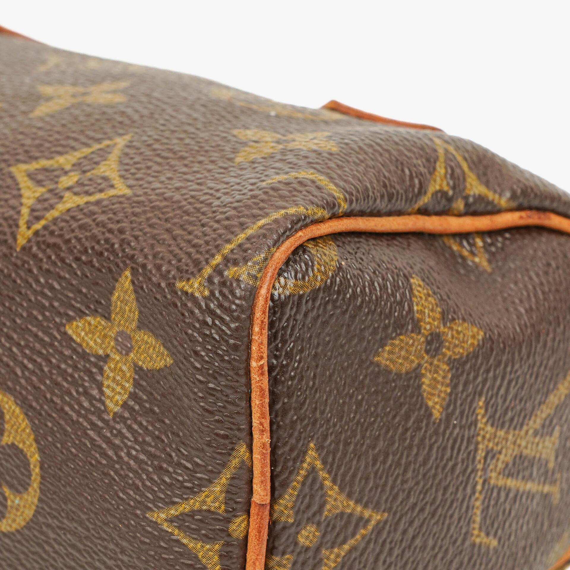 Louis Vuitton Nano Speedy Mini Tasche aus Monogram Canvas